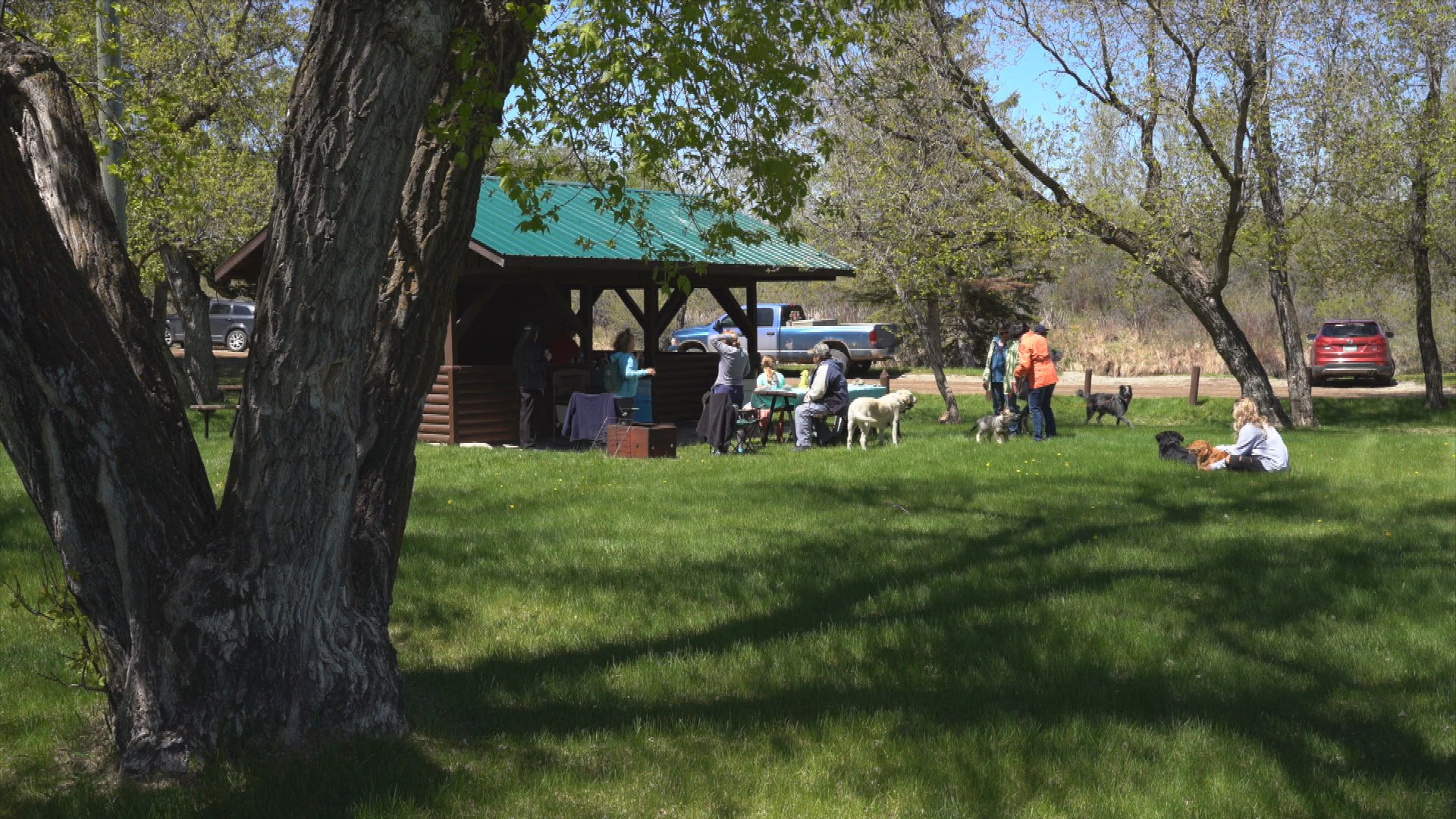 Thumbnail image for Birtle Walk for Dog Guides - May 26, 2019