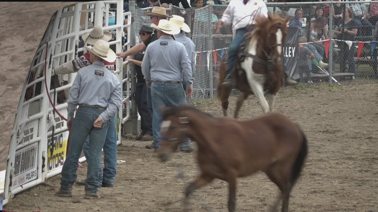 Thumbnail image for Swan-2019NWRFridayRodeo-July26 (3rd)