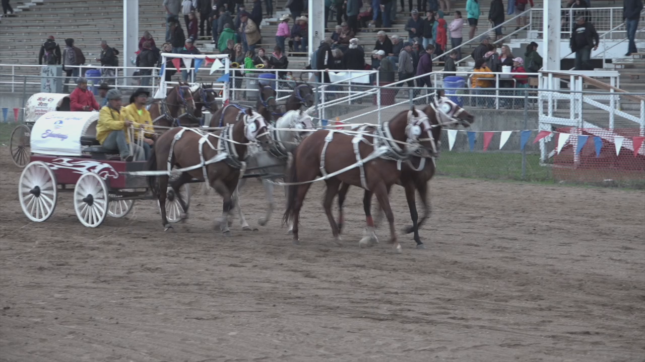 Thumbnail image for Swan-2019NWRThursdayChuckwagons-July25 2nd