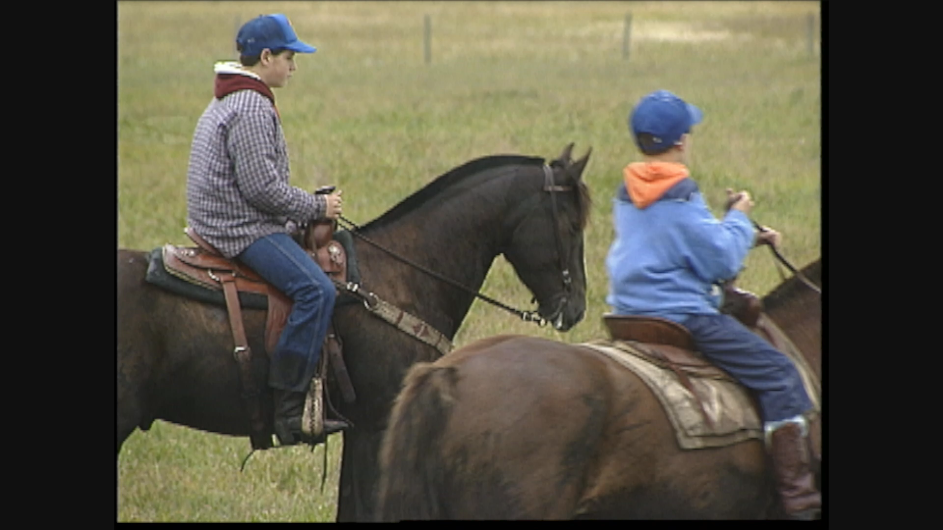 Thumbnail image for Birt - Filler - Fall Roundup