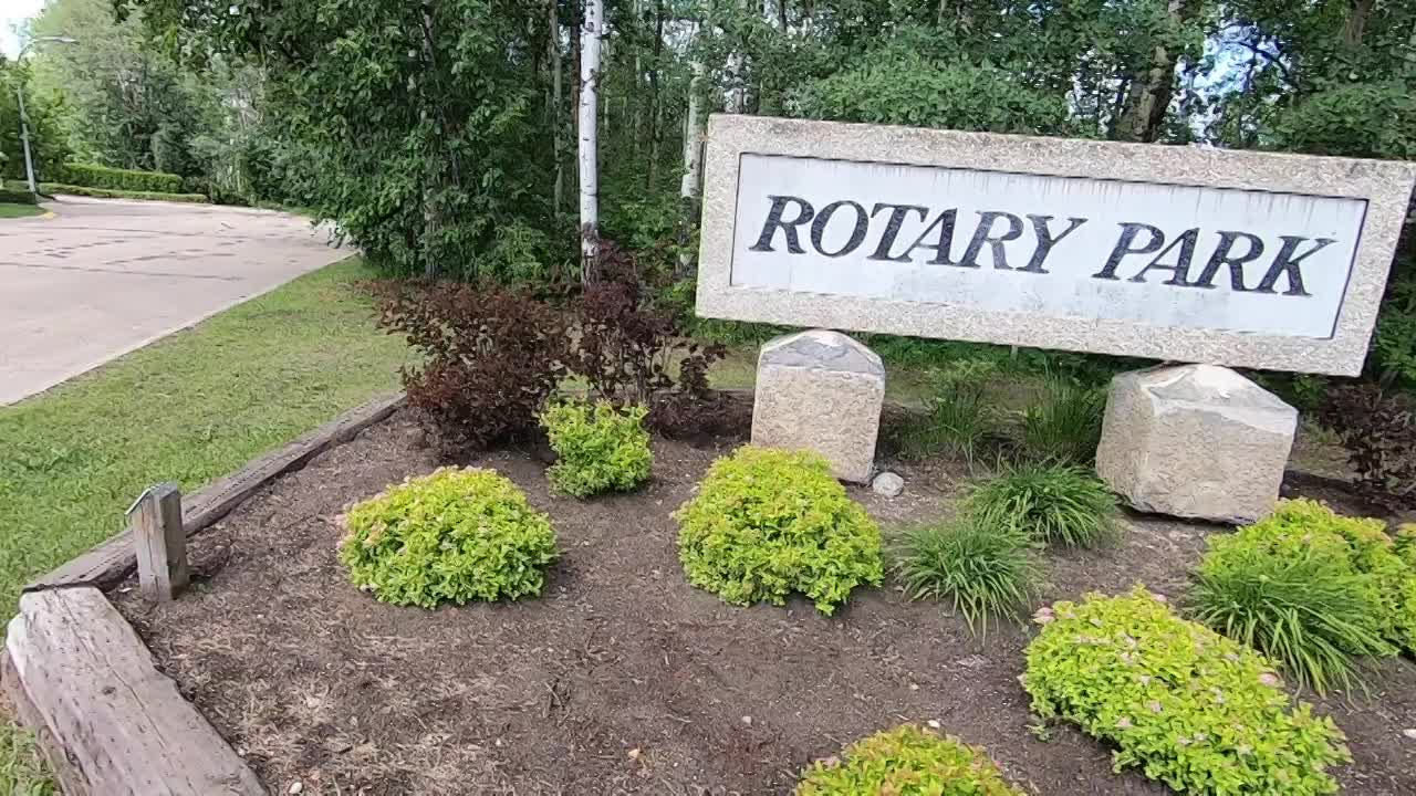 Thumbnail image for Swan-2020RotaryParkWalk-Aug1