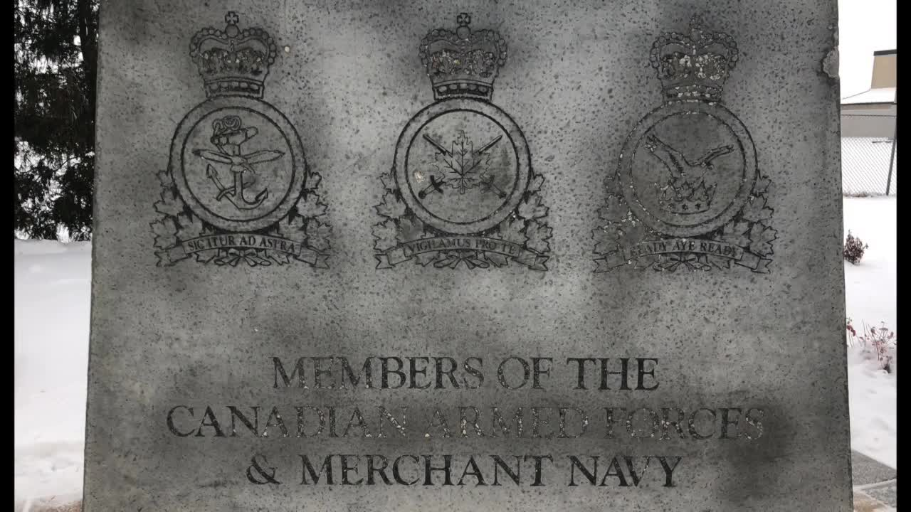 Thumbnail image for Swan-2020RemembranceDay-Nov11