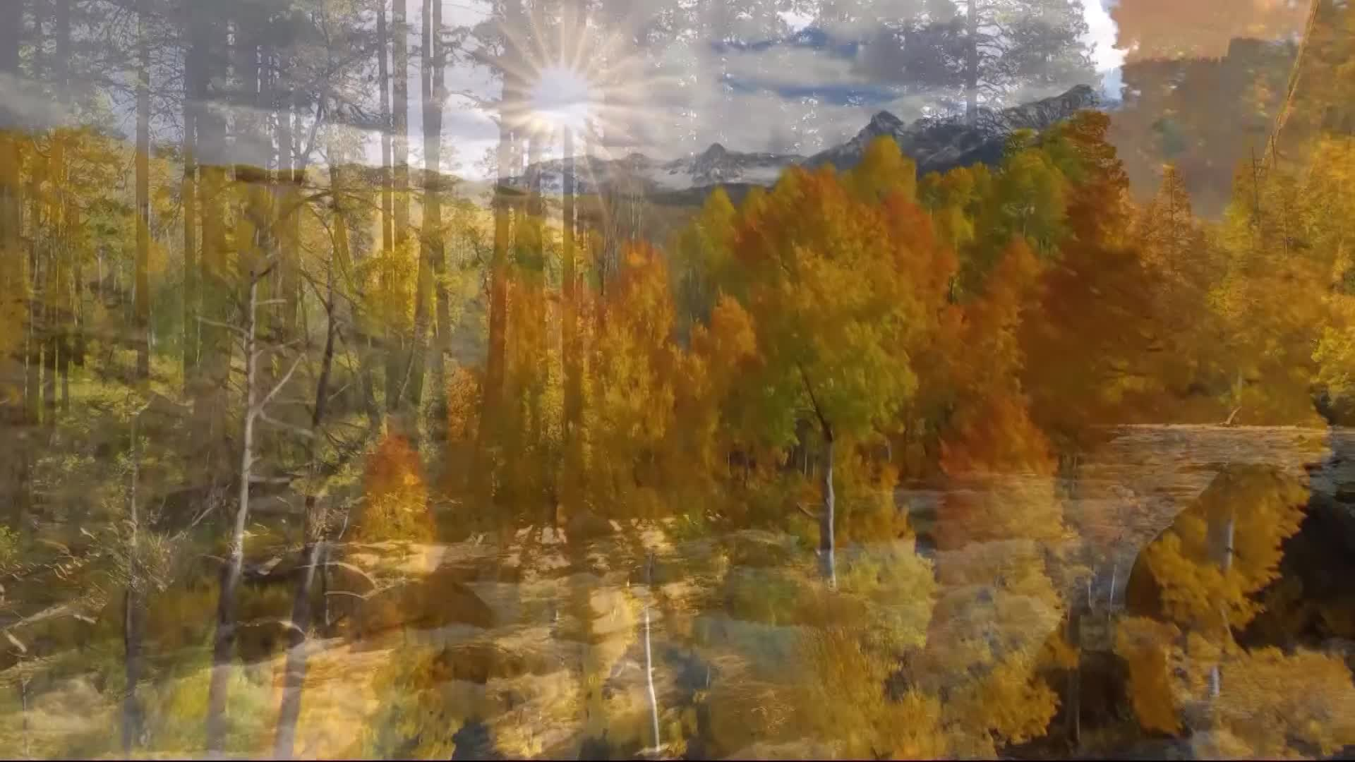 Thumbnail image for Tabernacle - 4776 Weekly