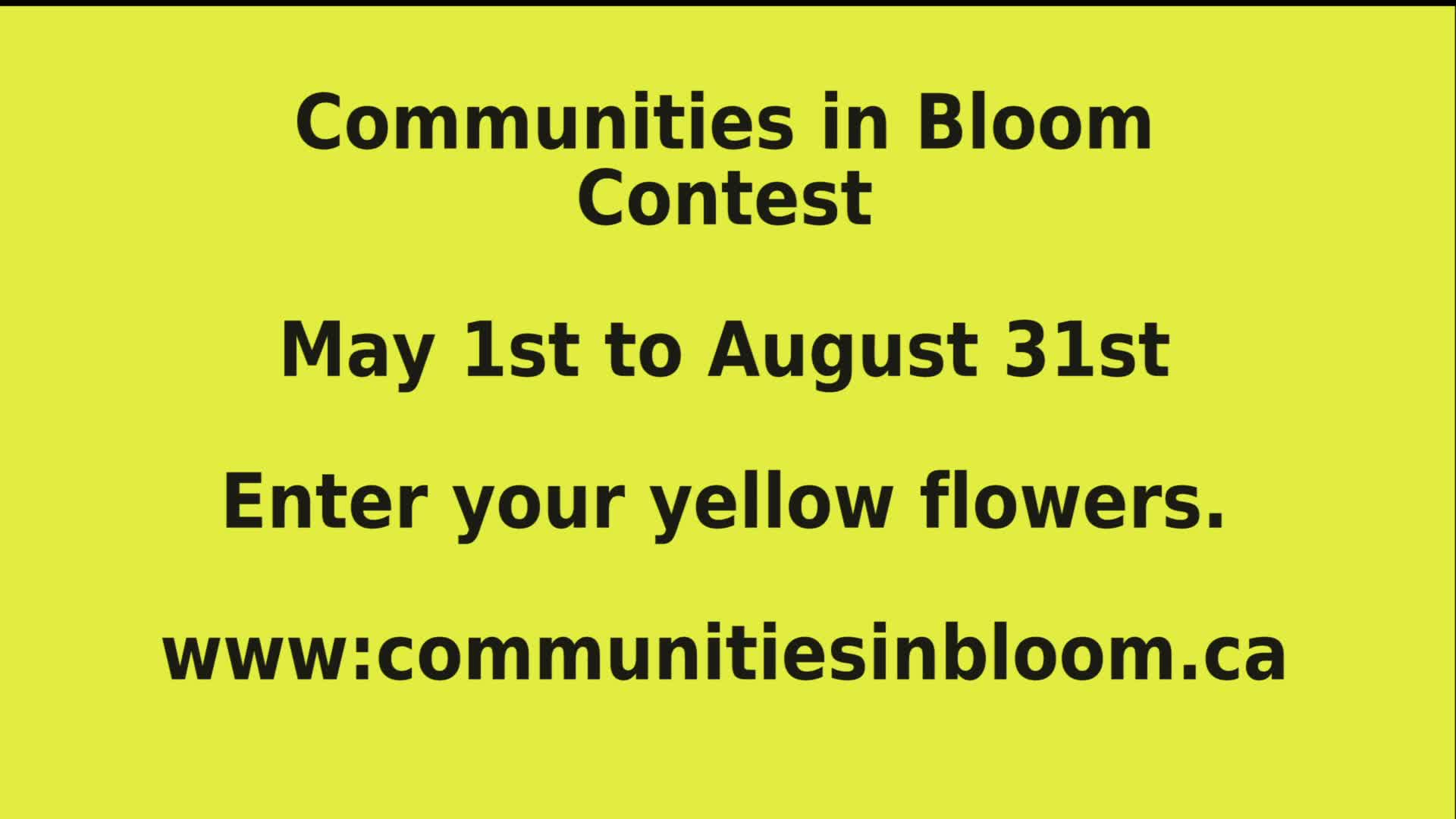 Thumbnail image for CARB_Growing with Communities in Bloom_22May2021