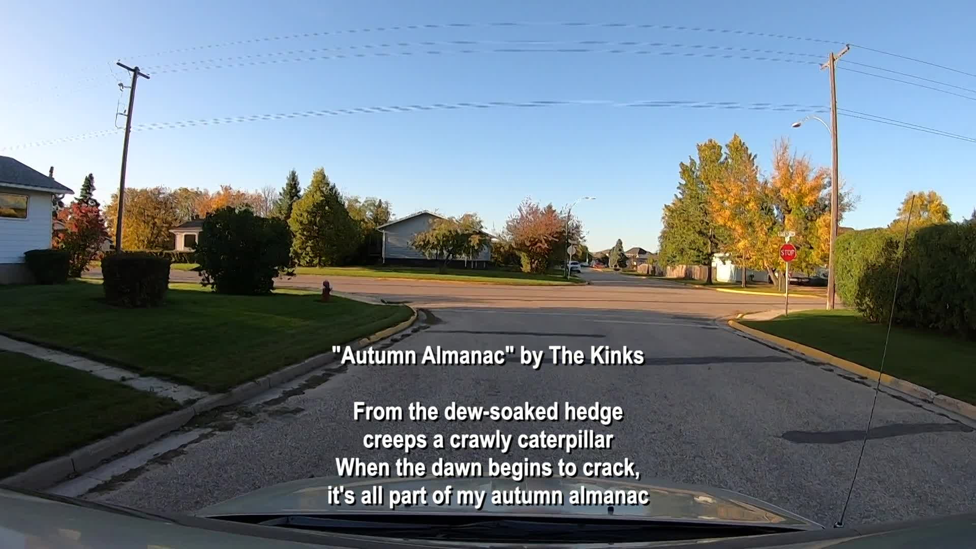 Thumbnail image for Swan - Autumn Drive 2019 original