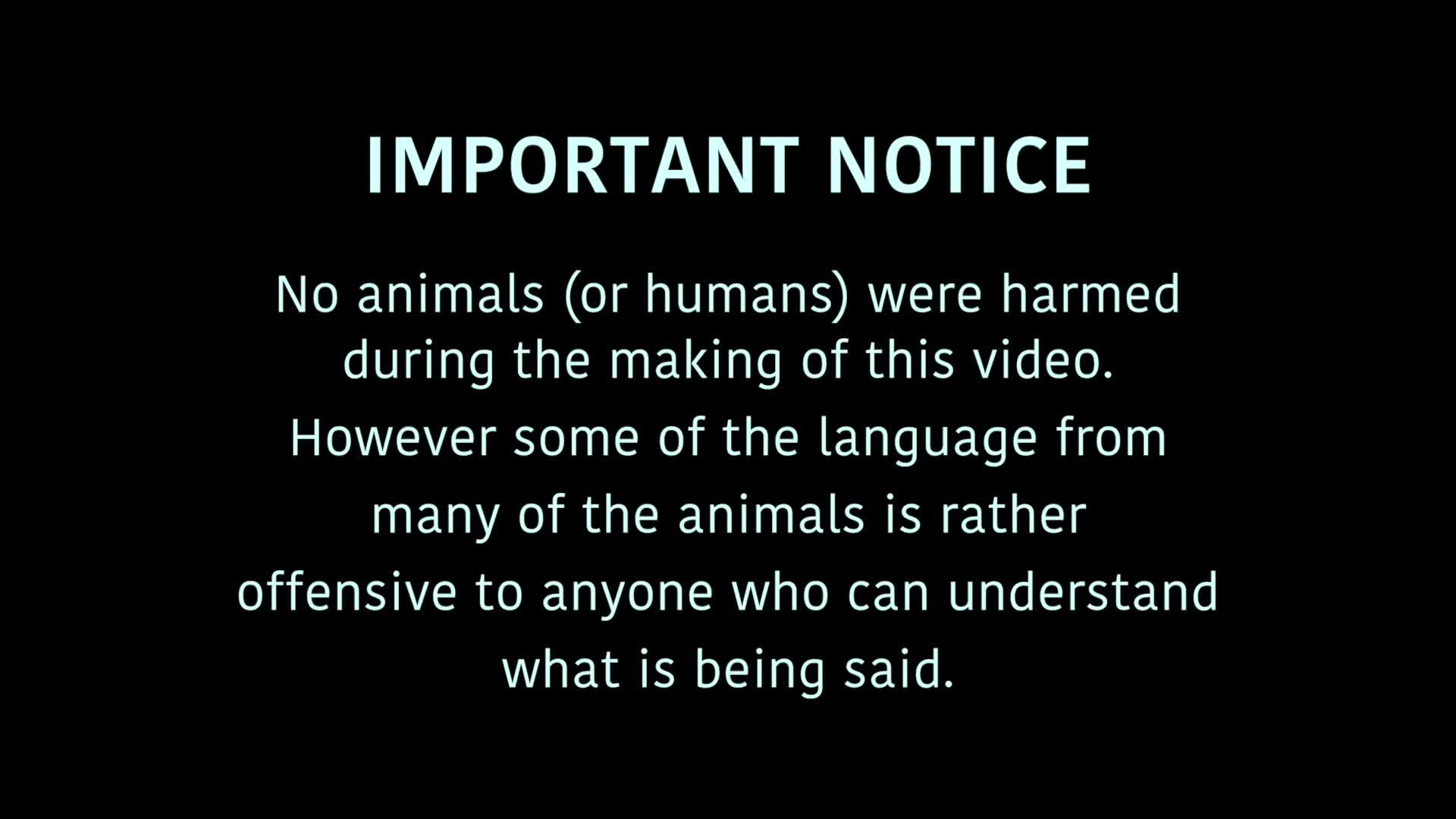 Thumbnail image for Birt - Beware of the Trap - Oct 28, 2021