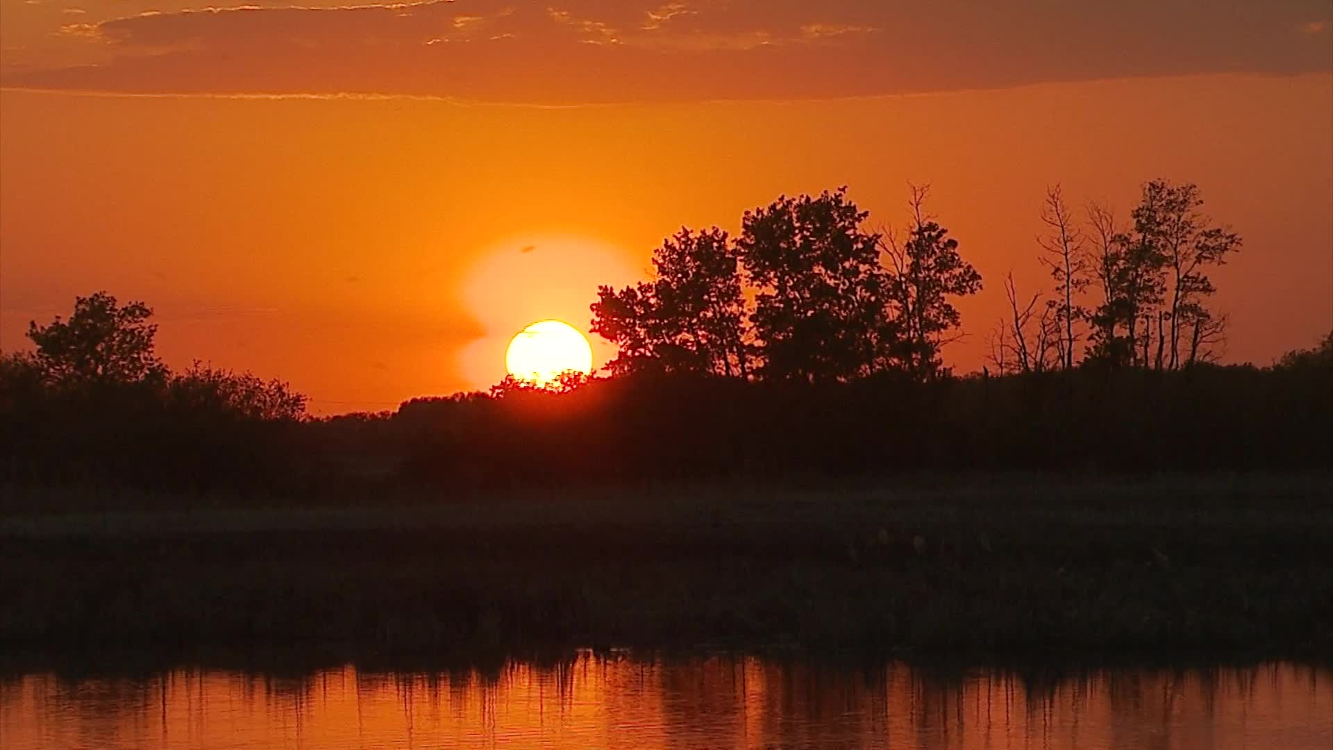 Thumbnail image for Birtle - PEACEFUL MOMENTS FOR WORSHIP #5 - Nov 20, 2021