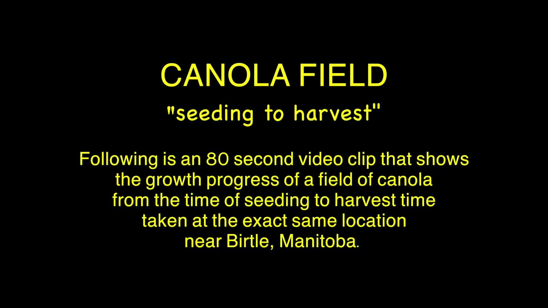 Thumbnail image for Birt - Filler - Canola Field - Seeding to Harvest