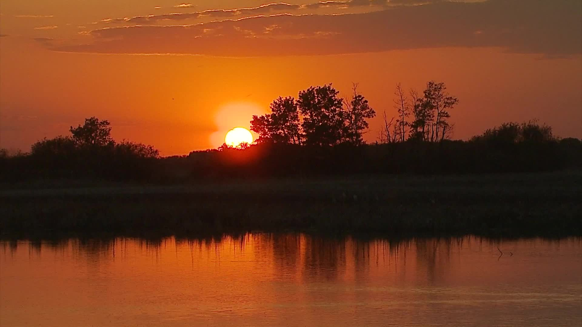 Thumbnail image for Birt - PEACEFUL MOMENTS FOR WORSHIP - #6 in the series