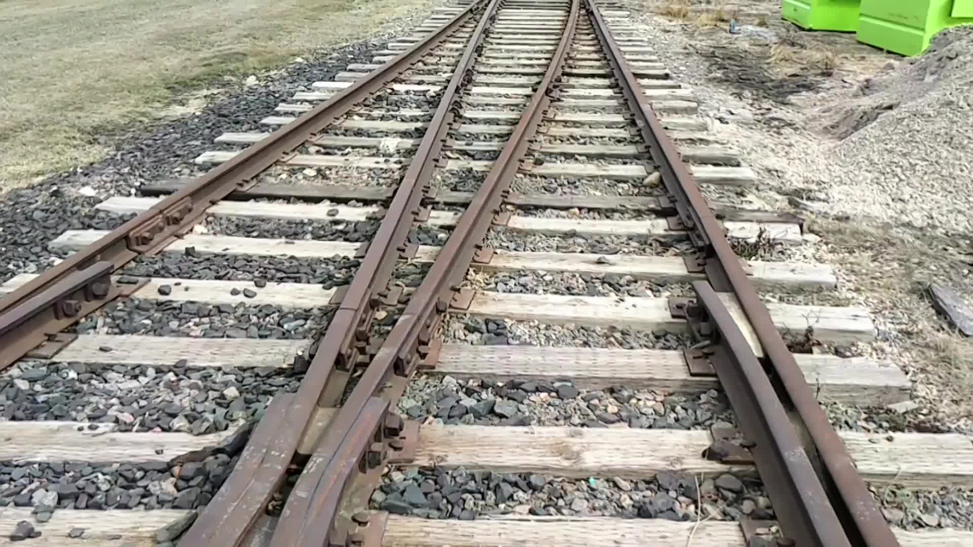 Thumbnail image for Swan-2021 TWB Train Weeks 3-Dec18