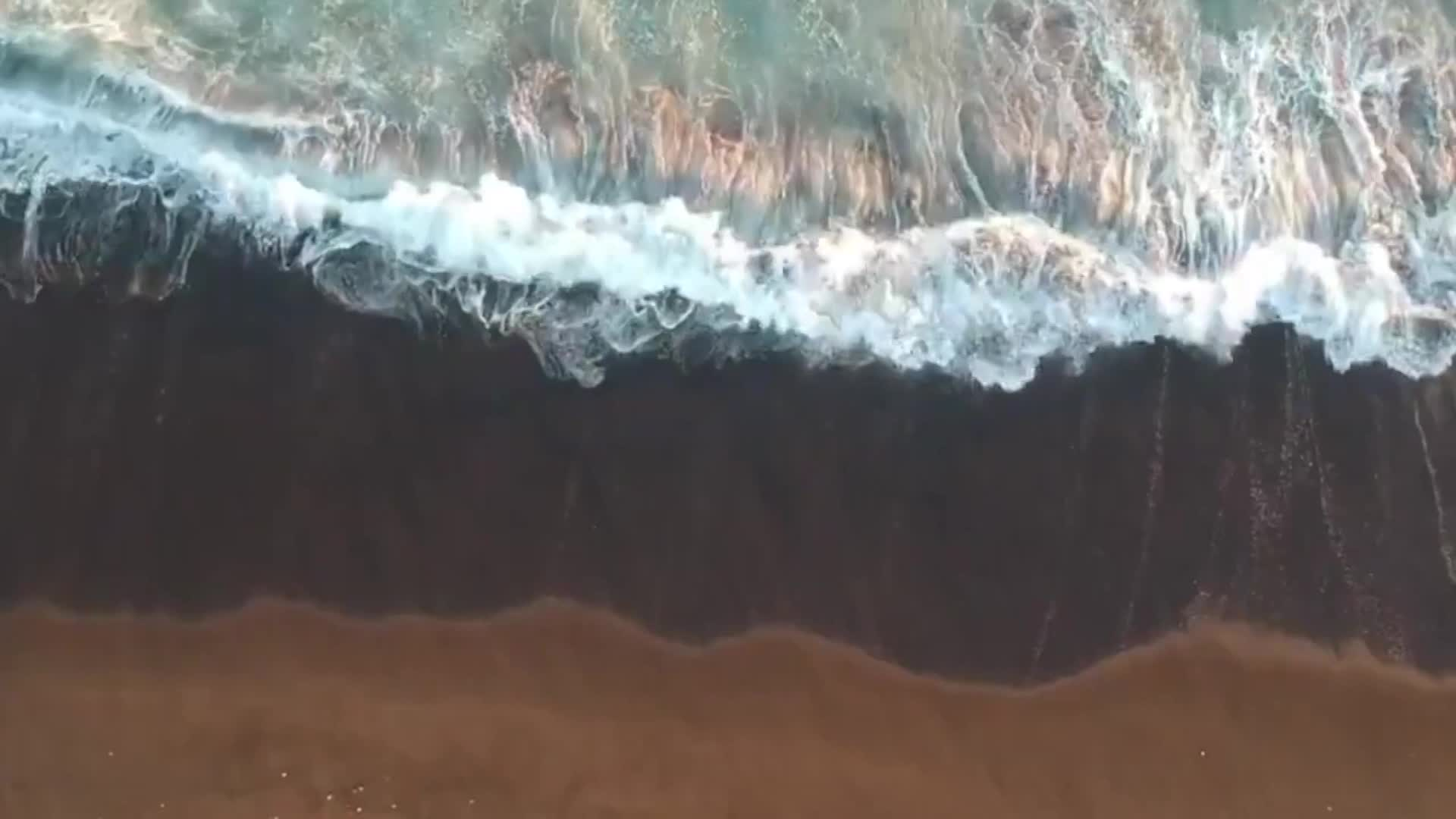 Thumbnail image for Filler-UJU-Mindfulness Minute - Ocean Waves