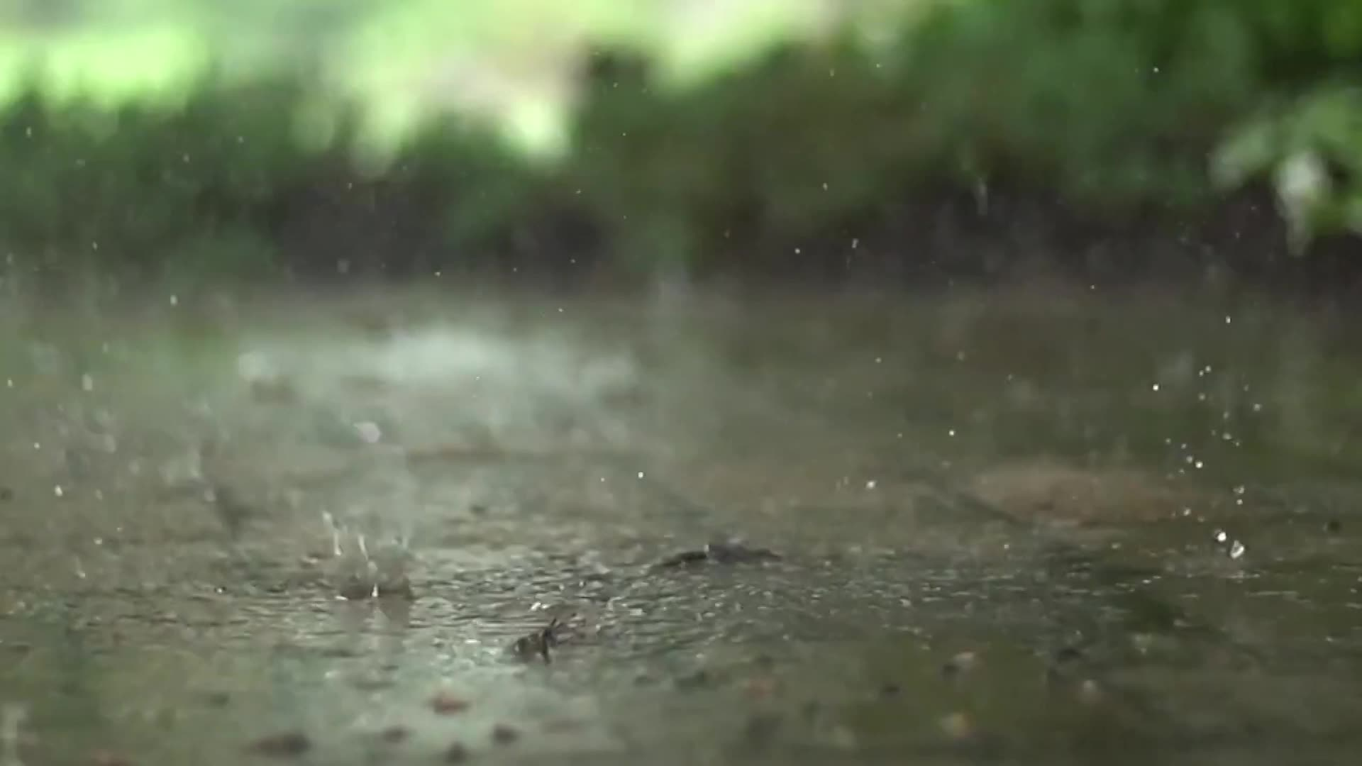 Thumbnail image for Filler-UJU-Mindfulness Minute - Light Rain