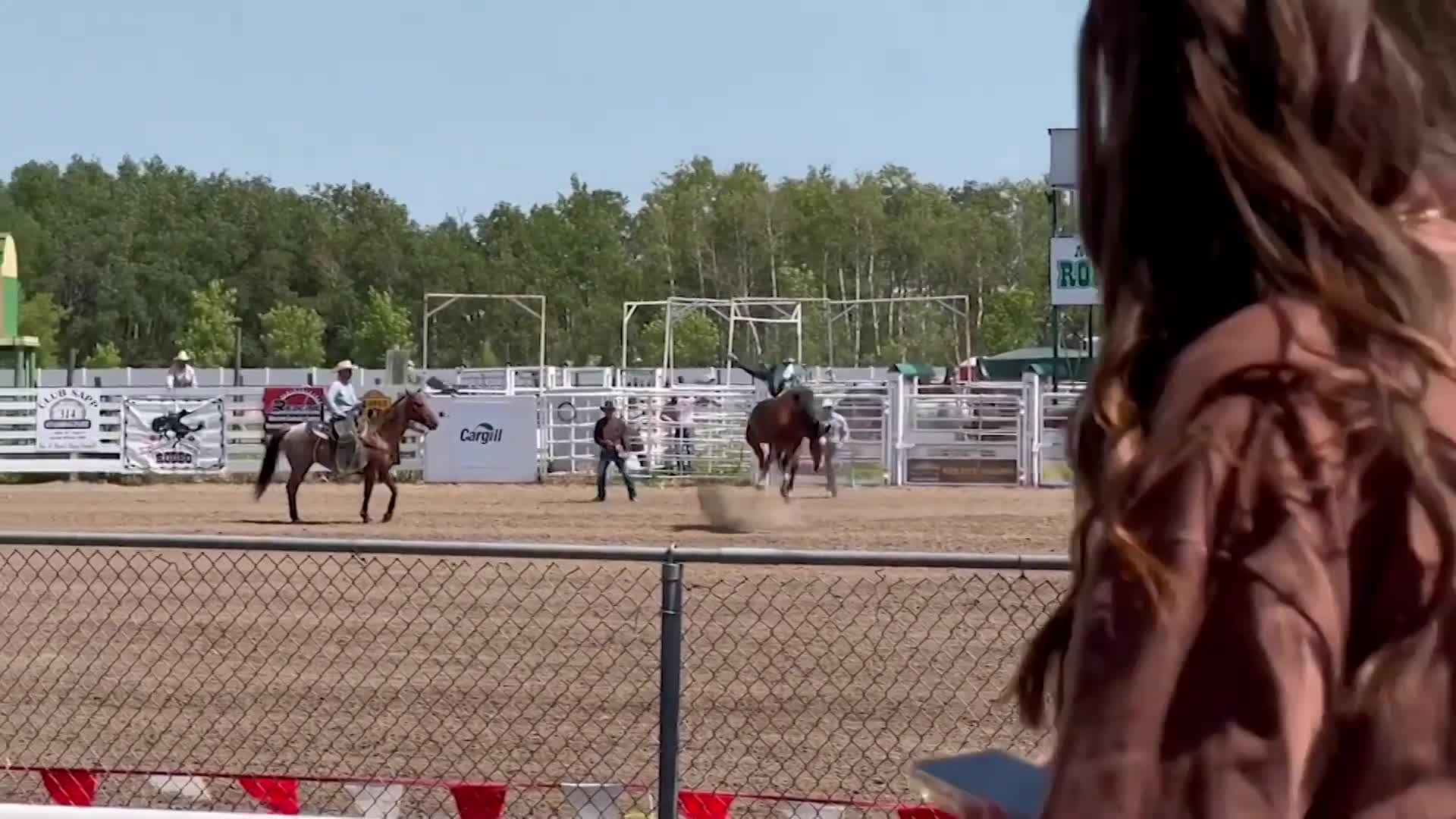 Thumbnail image for Swan-2022 NWR Horse Crash-July29