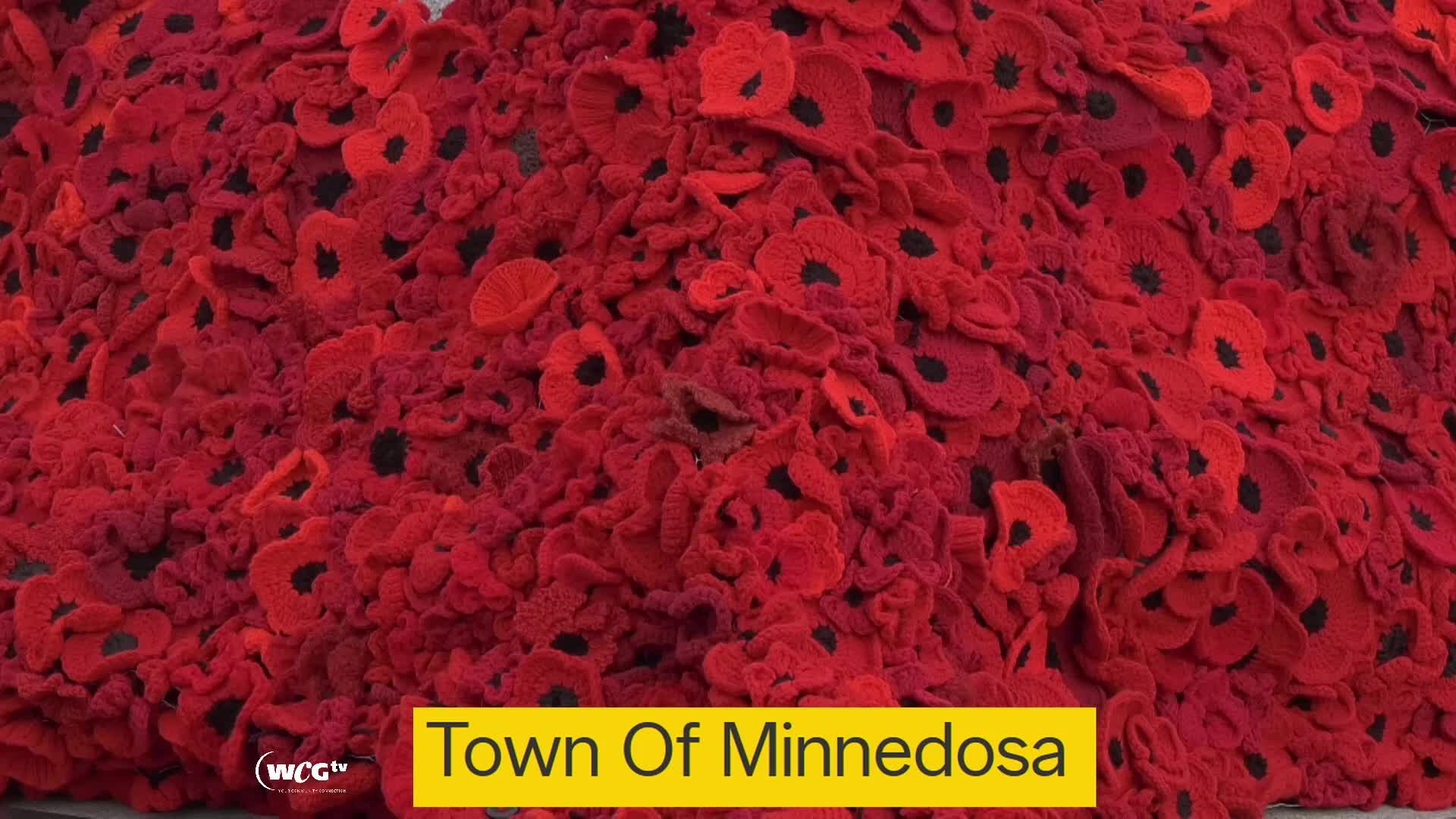 Thumbnail image for Minn Remembr Nov 11, 2022