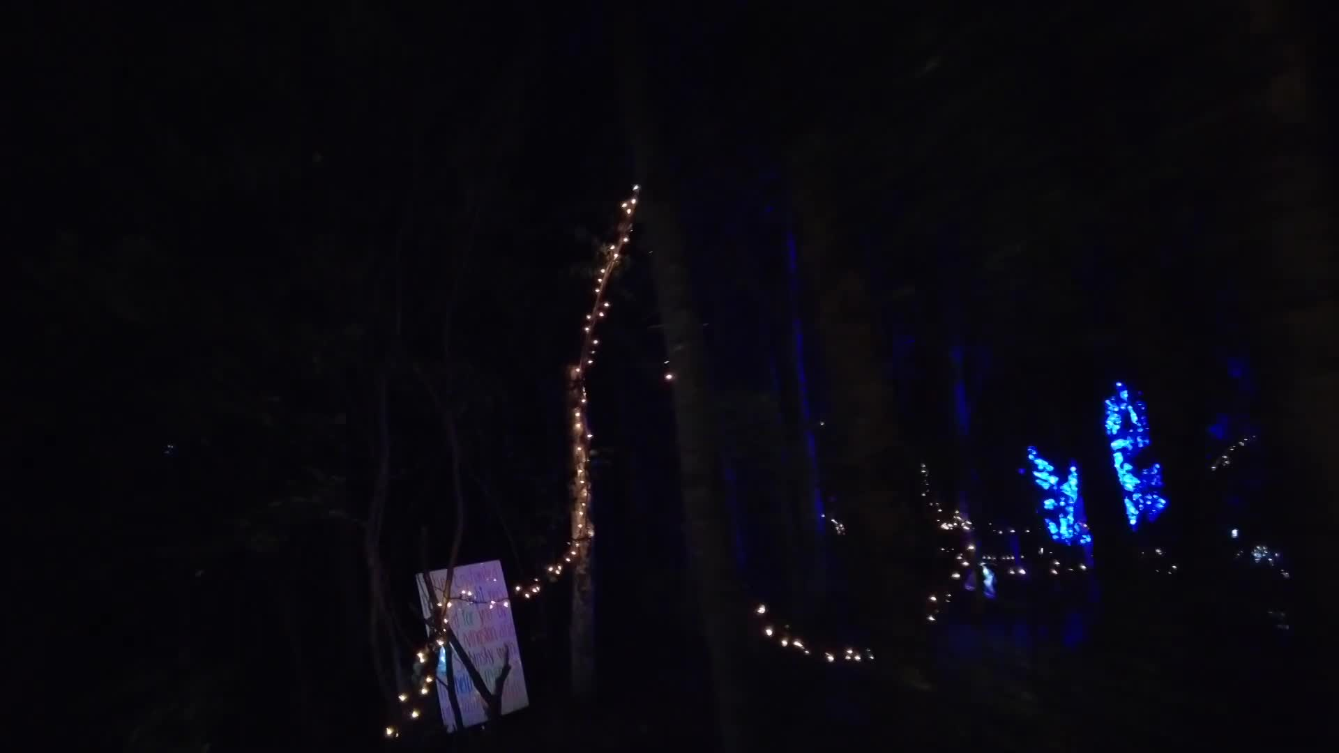 Thumbnail image for Swan-2021 TWB Enchanted Forest in Roblin-Sep15