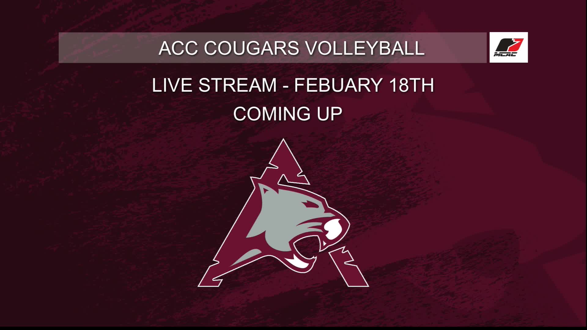 Thumbnail image for ACC Volleyball_Feb 18_2023