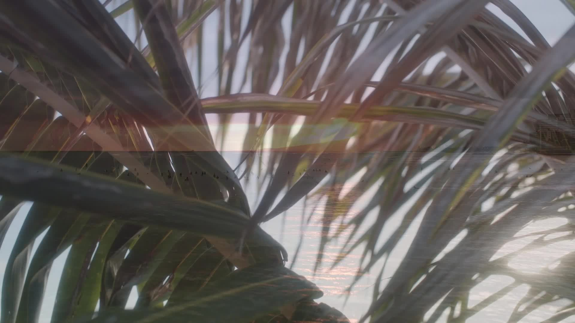 Thumbnail image for Summer Scenic_17s_2023
