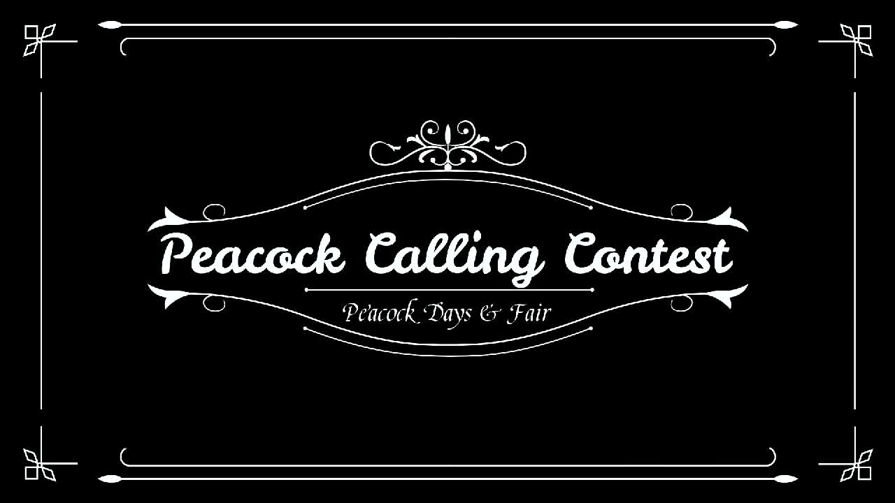Thumbnail image for Sour-Peacock Calling-July 8 2023