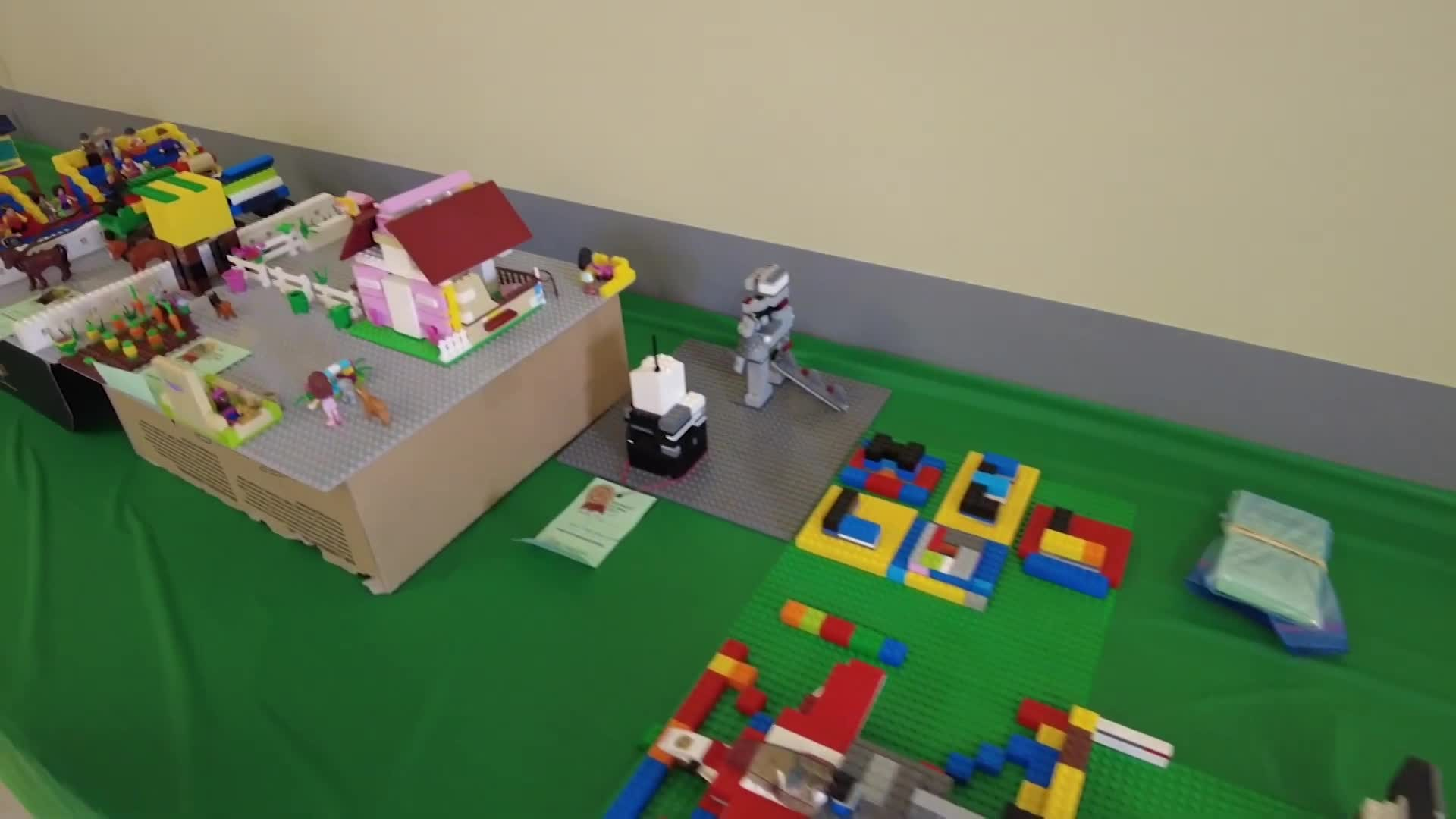 Swan-2023 TWB Crafts & Trains-July21