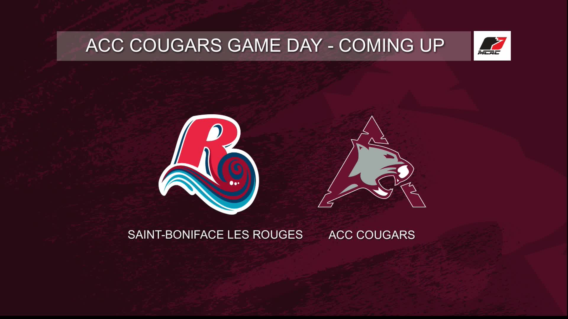 Thumbnail image for ACC Volleyball vs USB Mens Game_Nov 18_2023