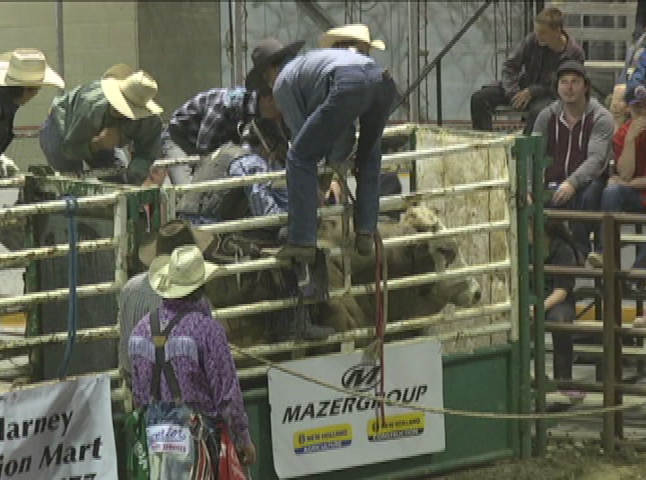 Thumbnail image for Swan-2016KillarneyBullRiding-May6
