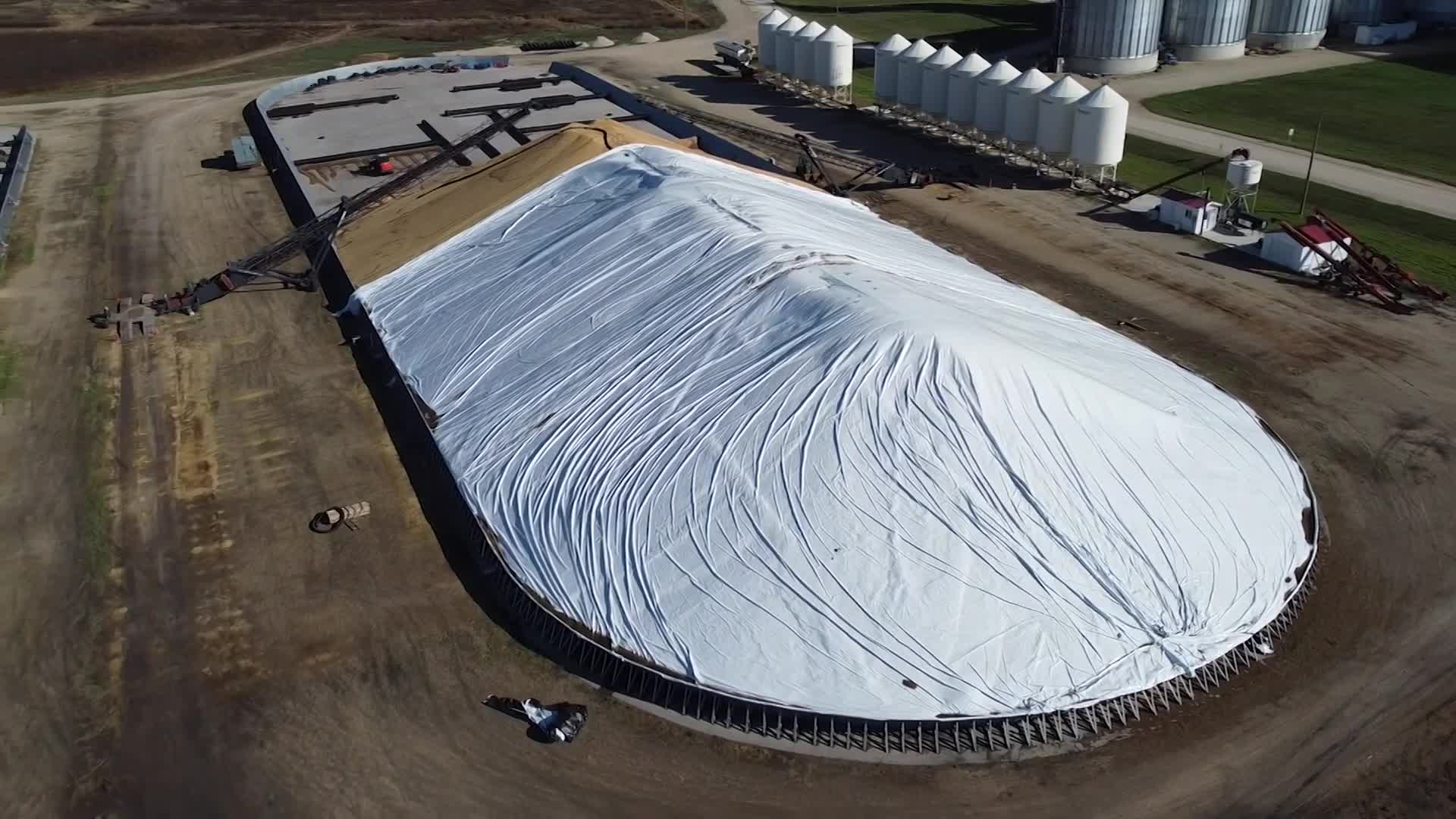 Thumbnail image for Swan-2023 TWB Shorts Collection-Dec18