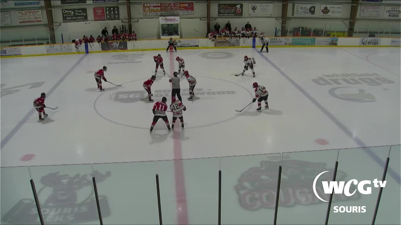 Thumbnail image for Sour-Hawks Vs Cougars U15 AAA-Dec 16 2023