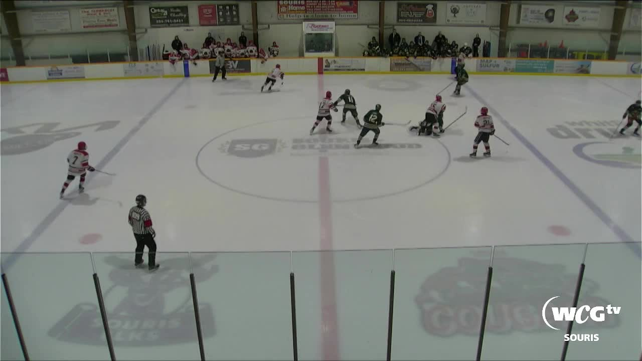 Thumbnail image for Sour-Wild Vs Cougars -Feb 3 2024