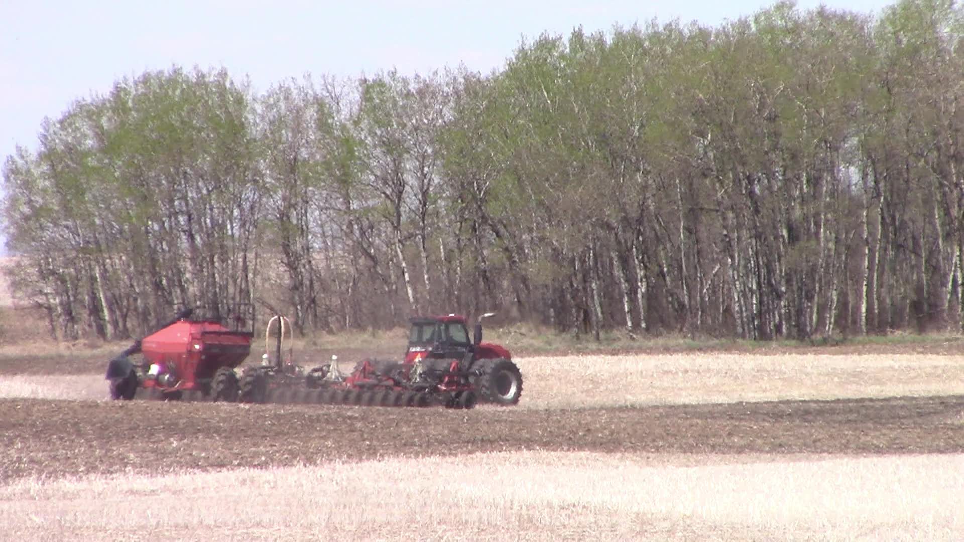 Thumbnail image for Seeding 2024 Audio.movie