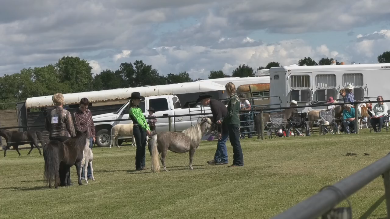 Thumbnail image for Boissevain Fair - demo derby, car rally, horse show June 24-25, 2017