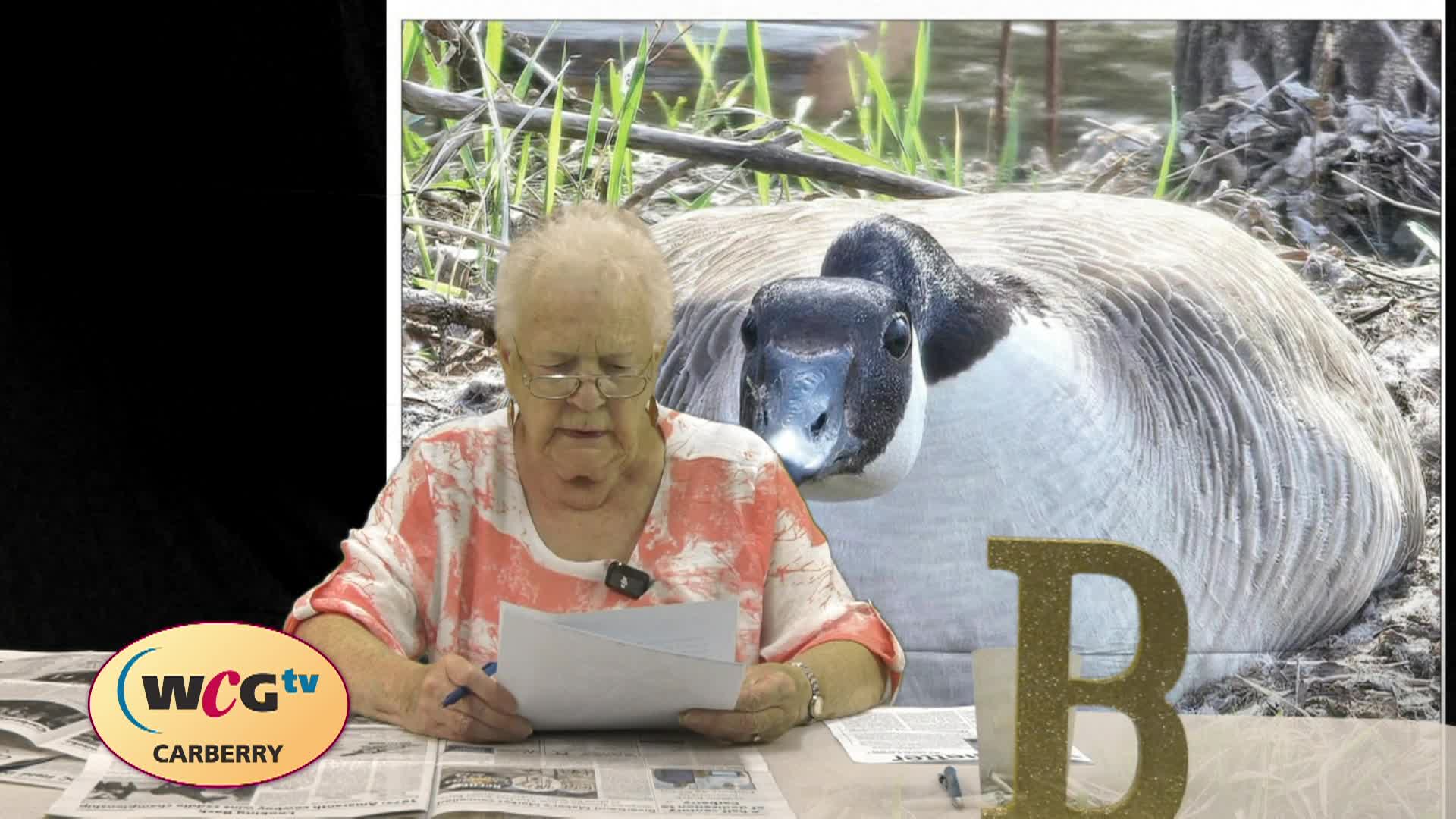 Thumbnail image for CARB_News19Aug2024