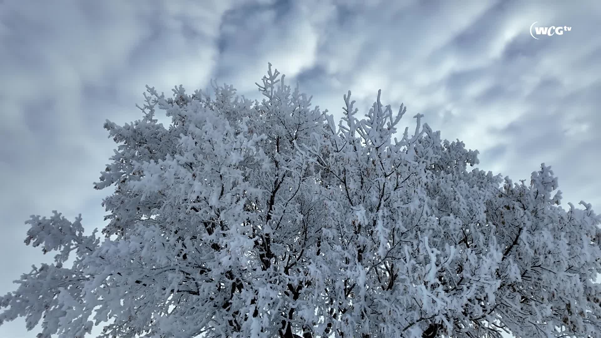 Thumbnail image for FILLER_Frosty Winter Wonderland_Nov27_2024_1