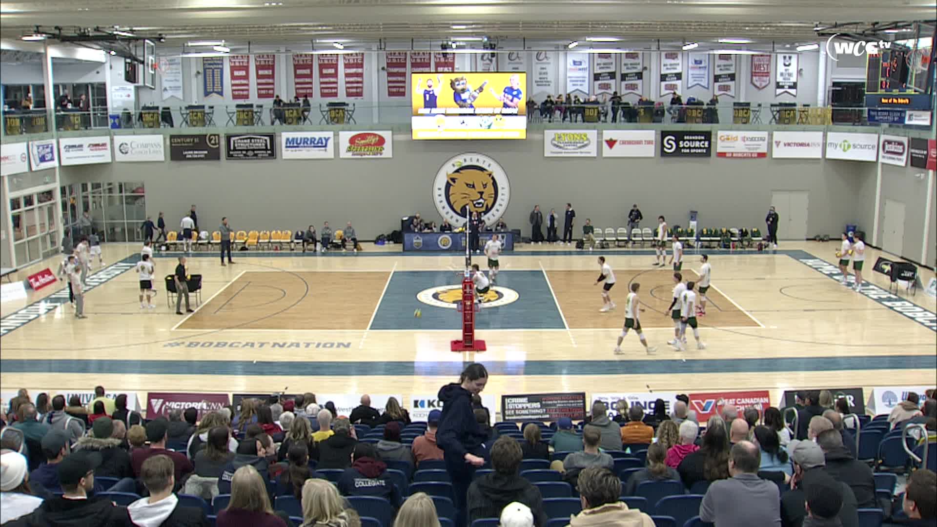 Thumbnail image for Brandon University Bobcats Volleyball vs University of Alberta Golden Bears Mens Game (Live)_Nov 30_2024