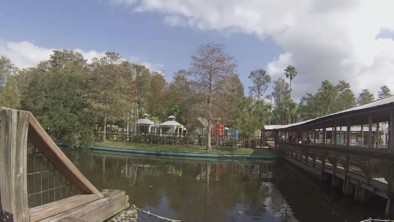 Thumbnail image for Ster Gatorland Florida 28-11-2024