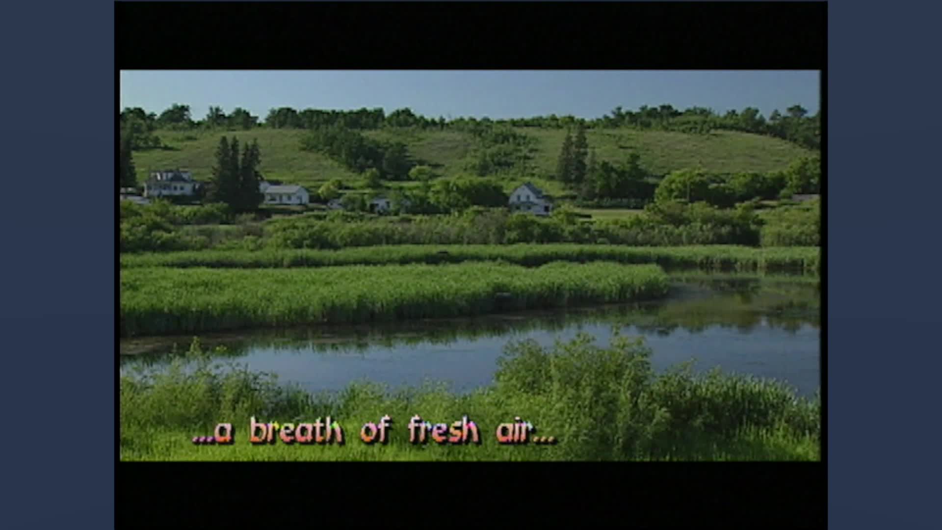 Thumbnail image for Birtle Camp Summer Sunsation