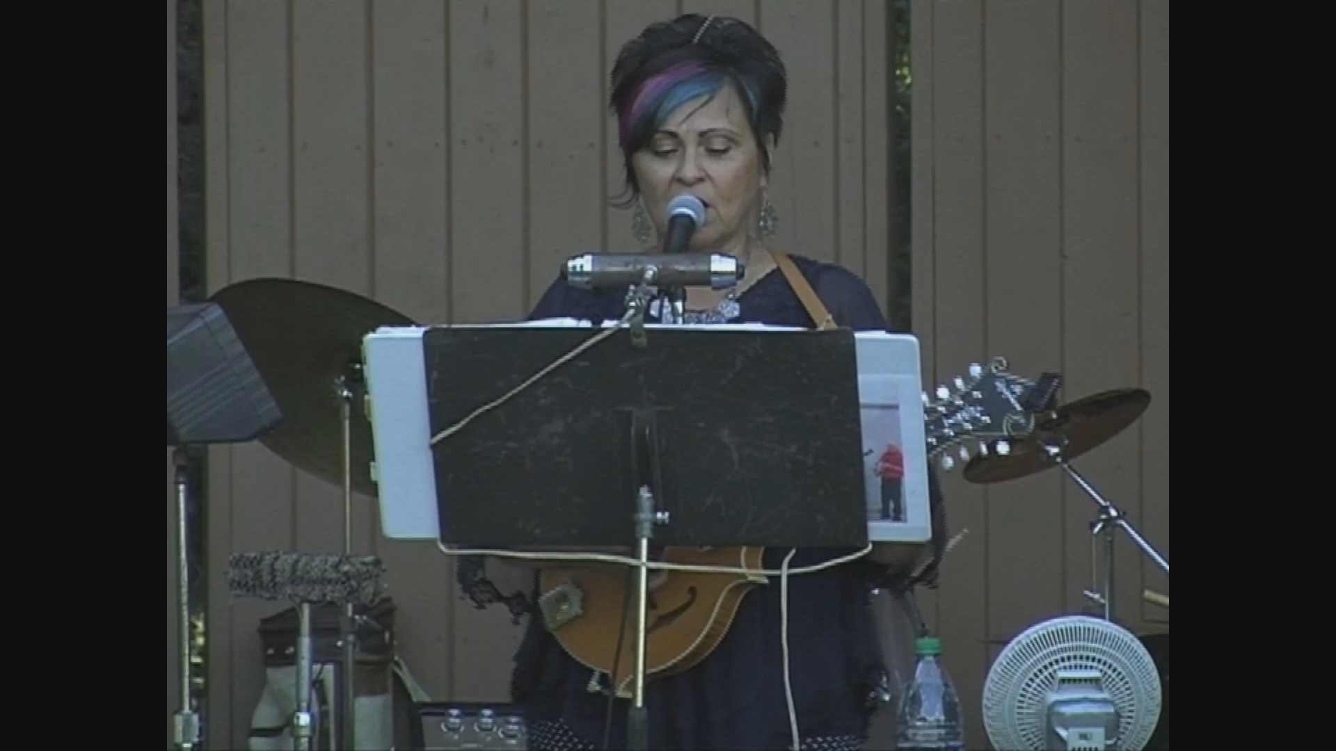 Thumbnail image for Vird - Music in the Park - Southern Country- August 25, 2016