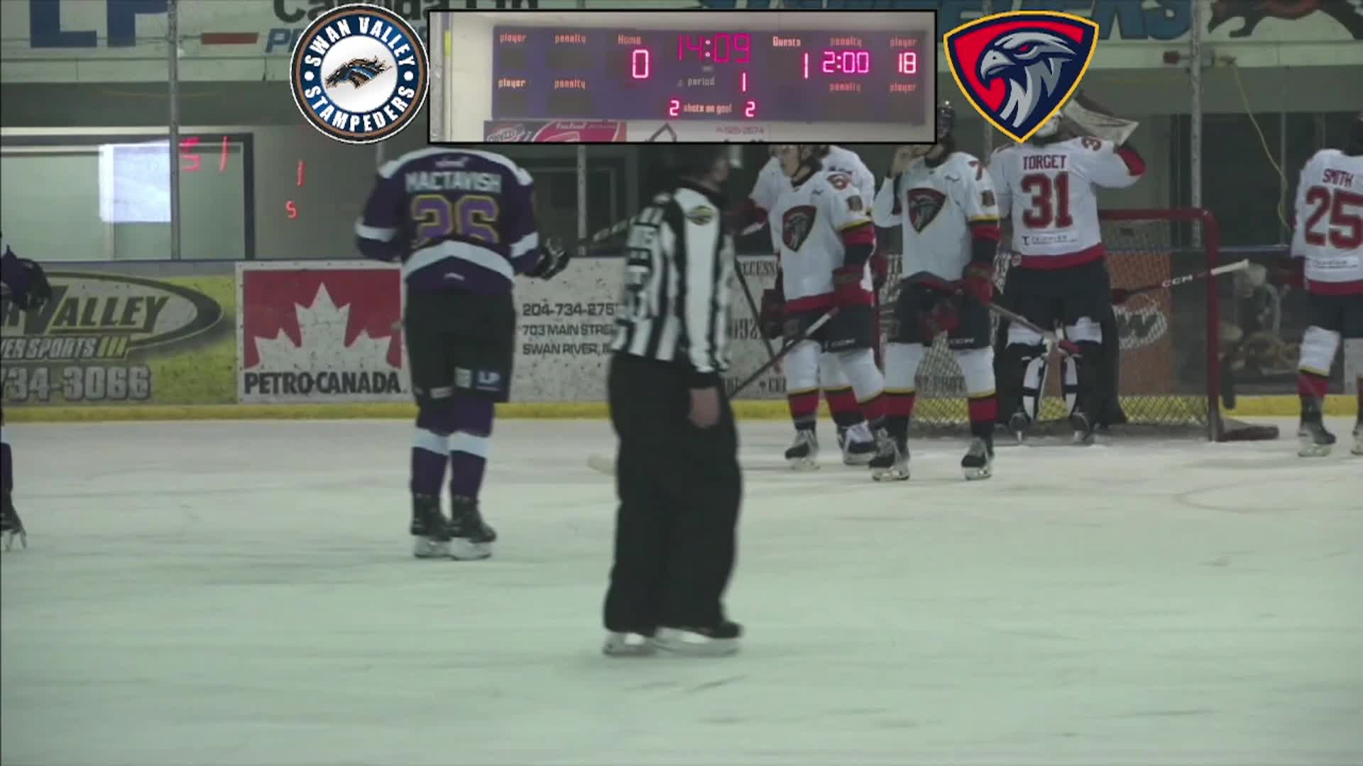 Thumbnail image for Swan-Stampeders vs Nighthawks-14Feb2025