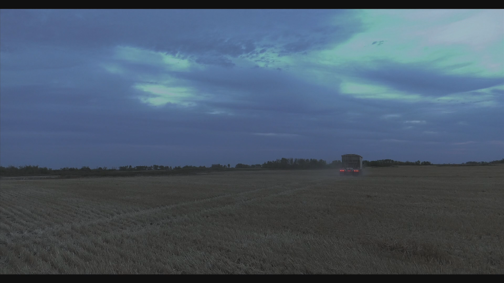 Thumbnail image for Birt - Harvest - Nov 1, 2016