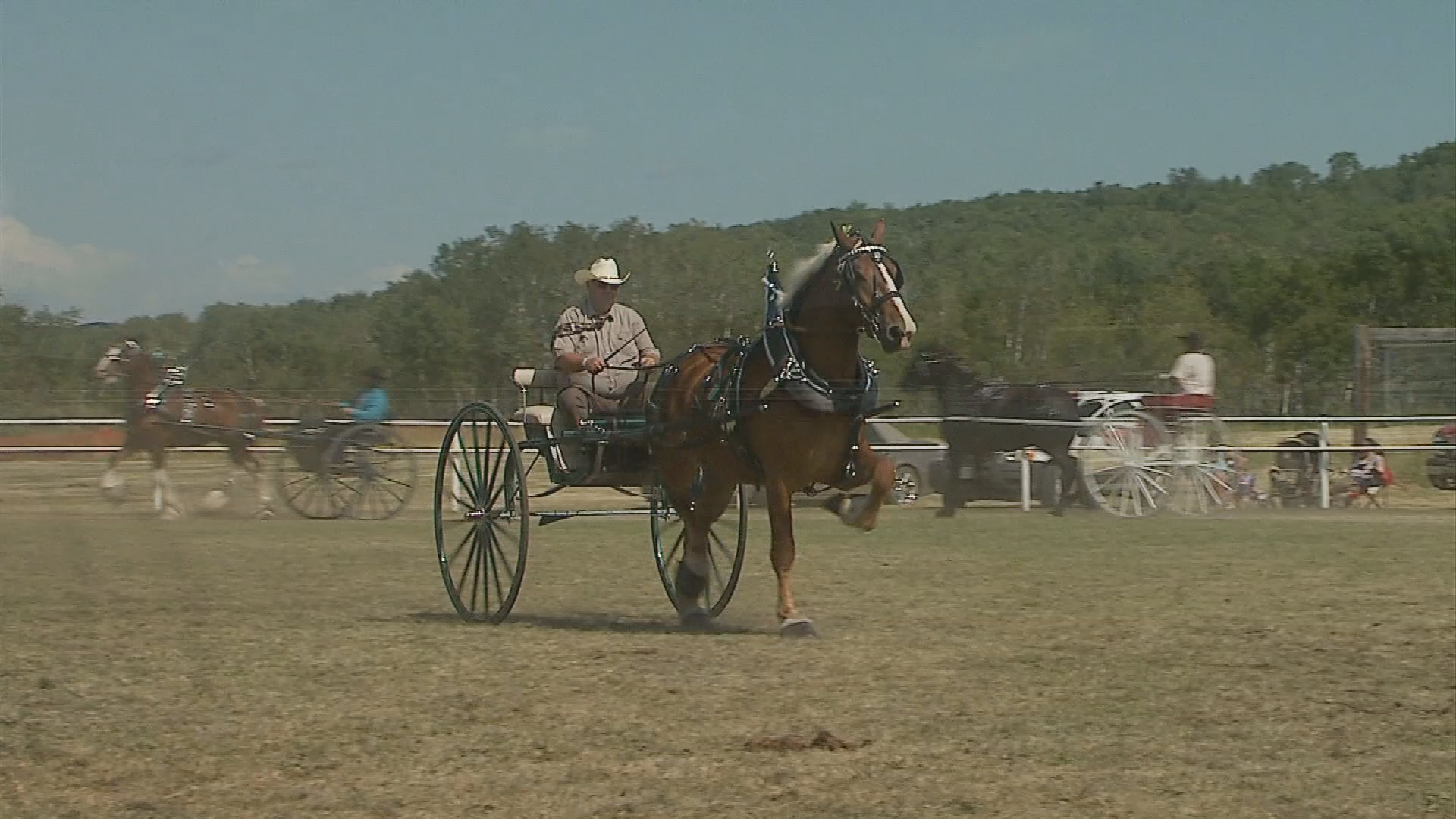 Thumbnail image for Birtle - Filler - Ag. Fair 2011 - Mens Cart Class