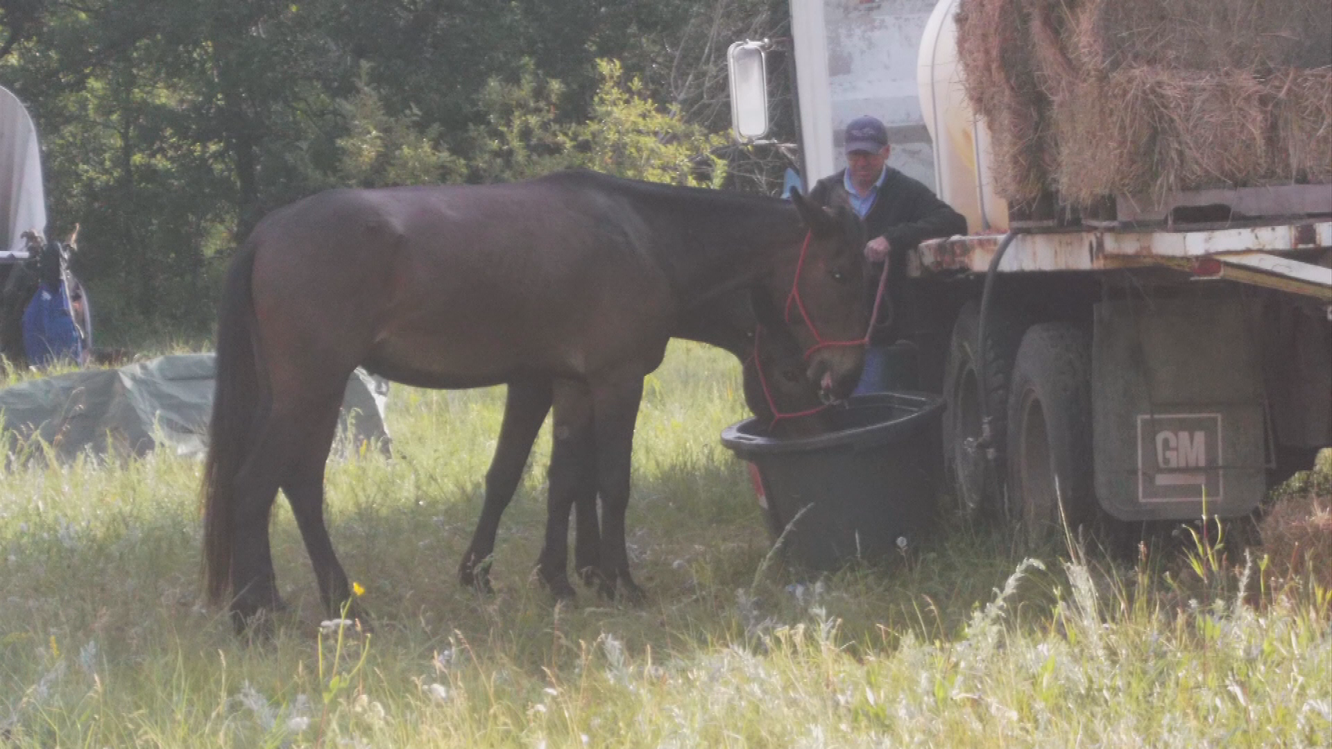 Thumbnail image for Birt -Filler Fort Ellice Trail Ride (small file size)