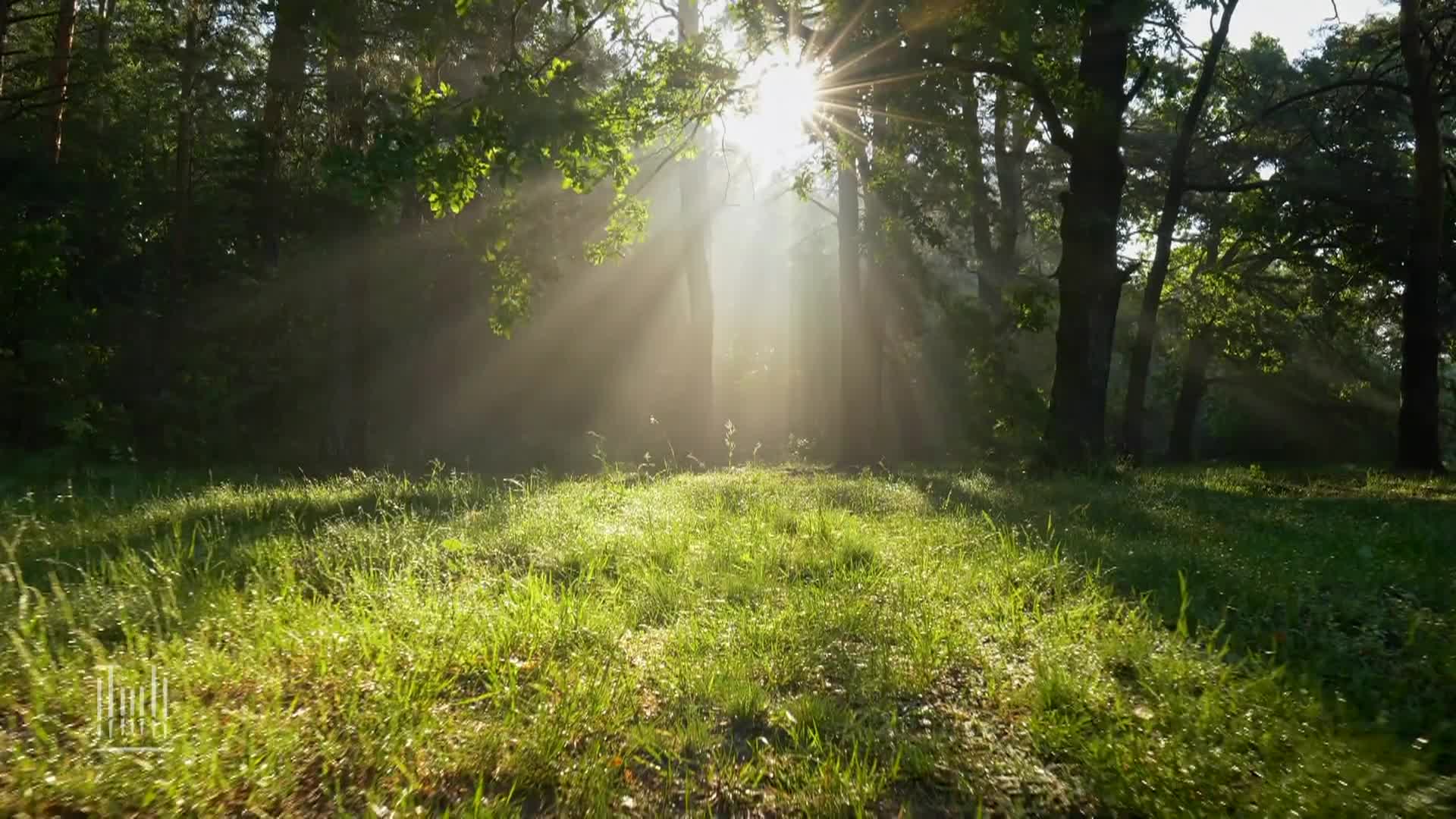 Thumbnail image for Tabernacle 5013 Weekly English