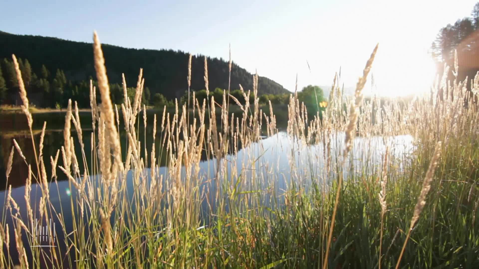 Thumbnail image for Tabernacle 5014 Weekly English