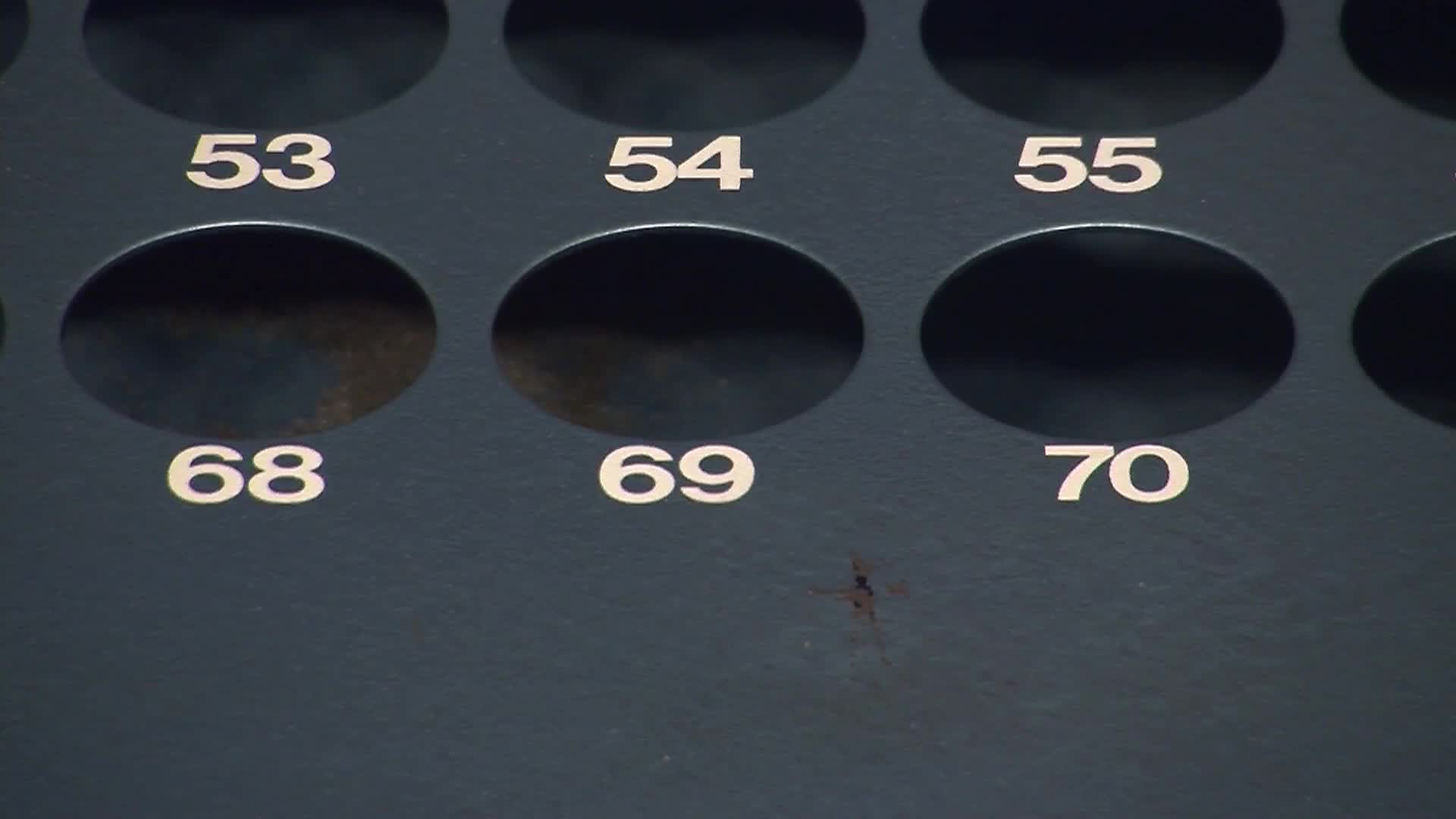 Thumbnail image for Gilbert Plains Lions BINGO - November 11th, 2025 (LIVE)