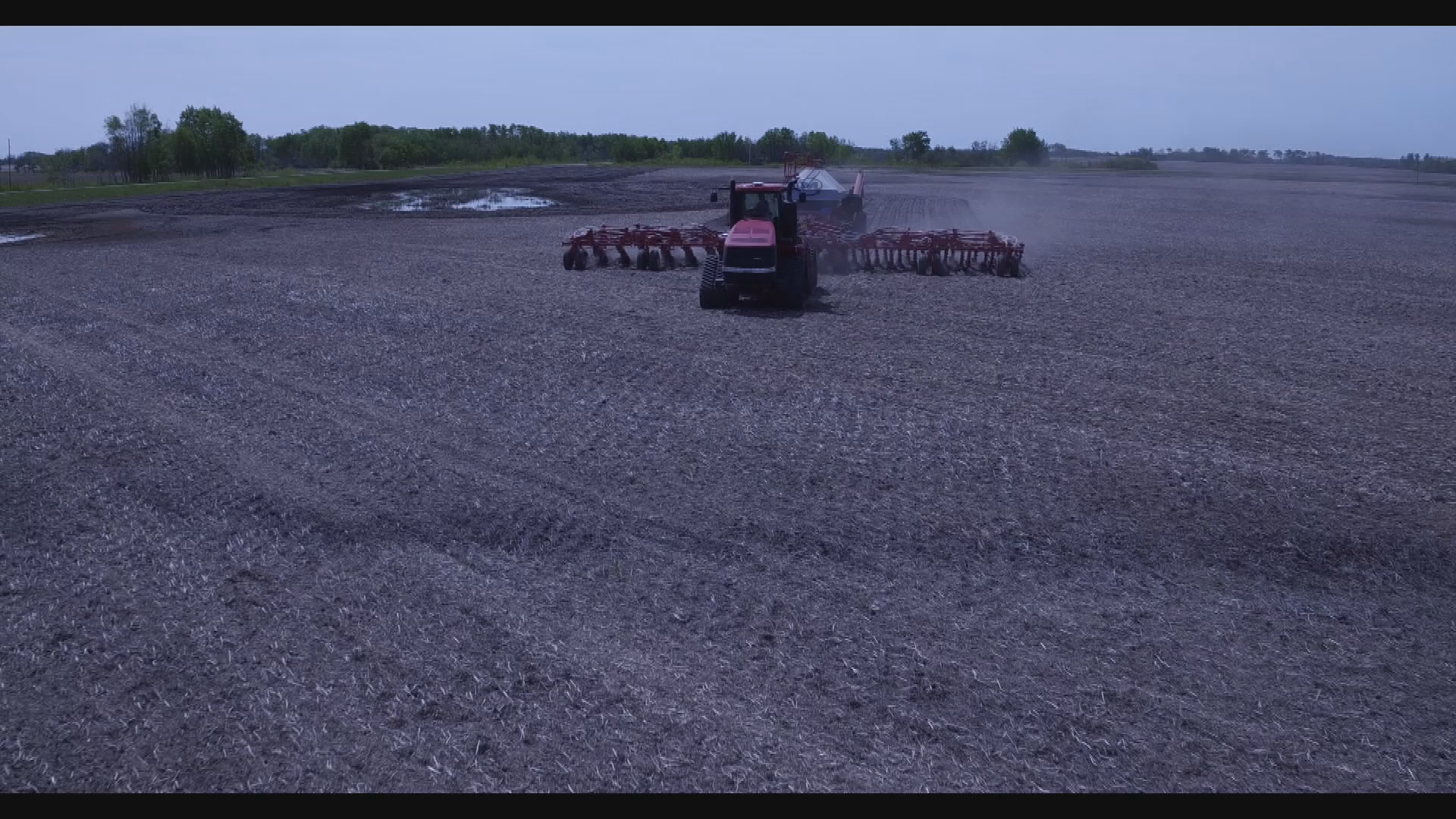 Thumbnail image for Birt - FILLER - Spring Seeding (small file size)