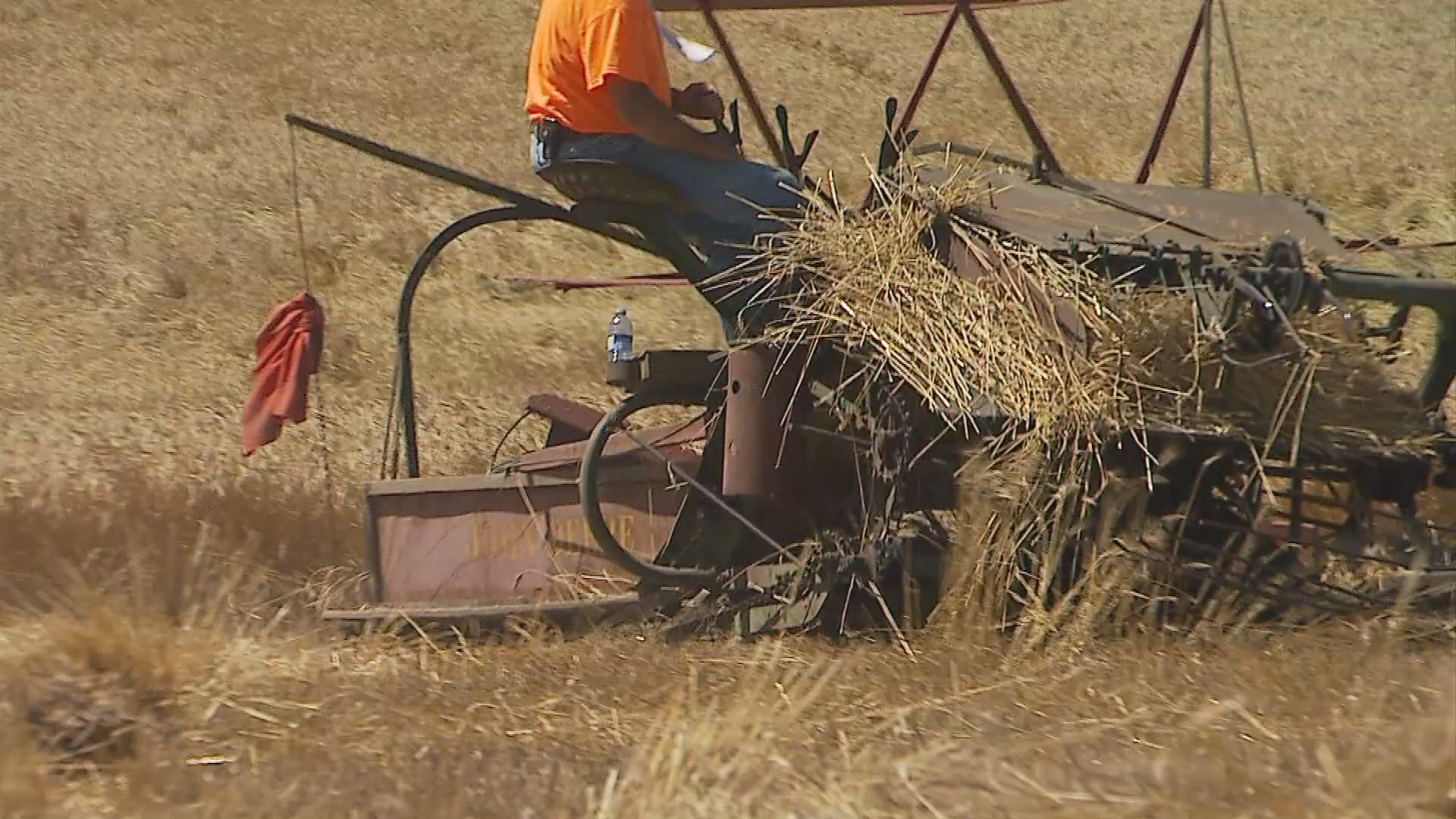 Thumbnail image for Birt -FILLER-  Cutting Wheat with a Binder -