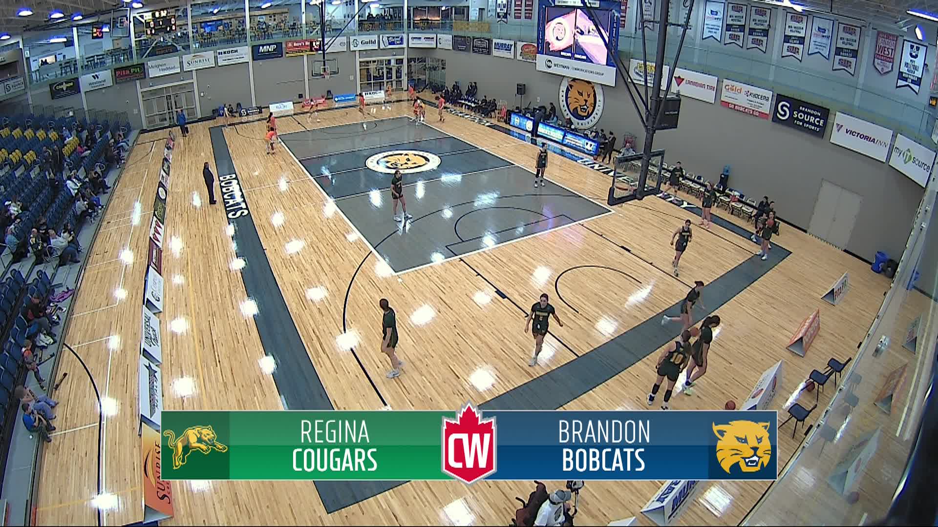 Thumbnail image for Basketball-Brandon University Bobcats vs University of Regina Women's and Men's Games (Live)_Nov 21_2025