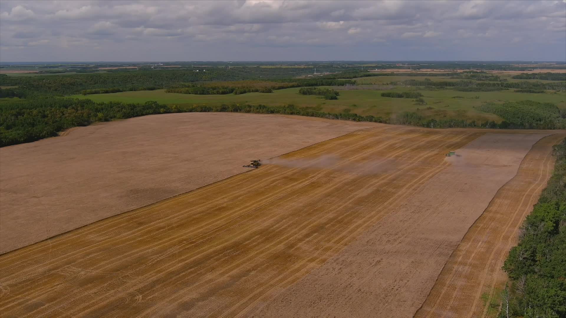 Thumbnail image for Grain for Green - Celebrating 10 Years (for WCG)