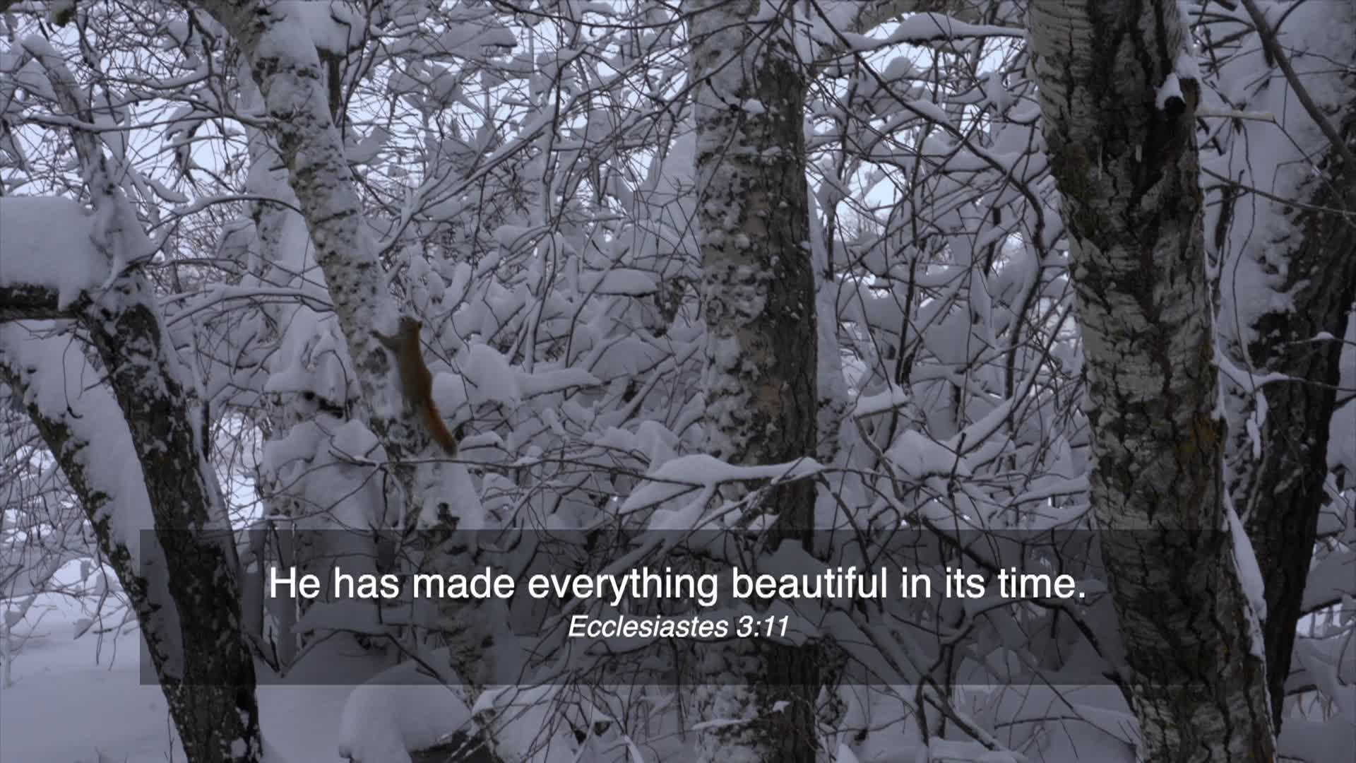 Thumbnail image for Birtle United Church Service - January 18, 2026