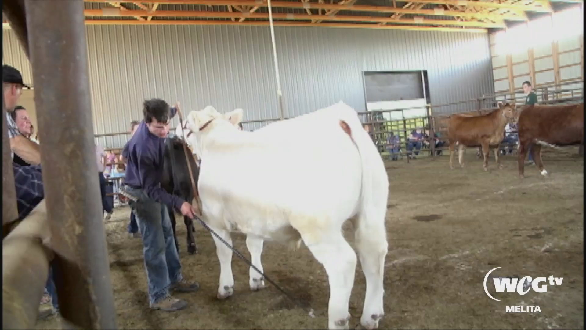 Thumbnail image for Melita & Area 44th Annual 4-H Beef Rally June 4 2018
