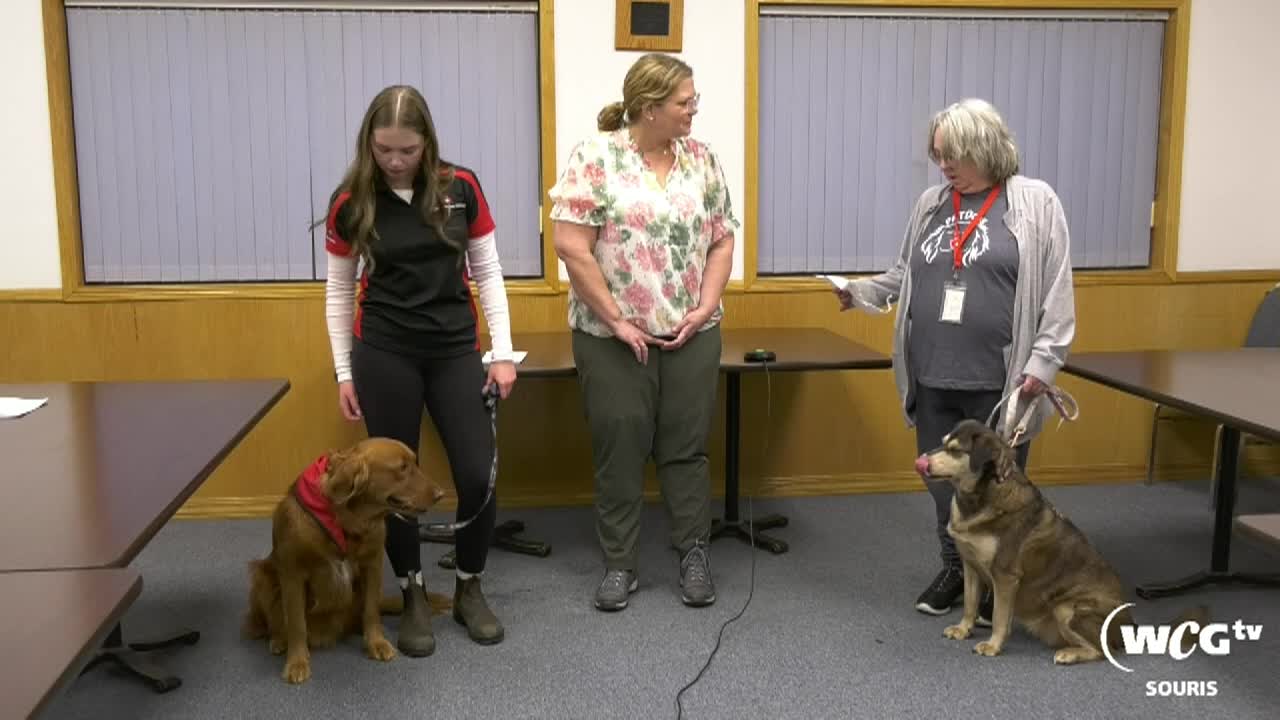 Sour-SOS-Therapy Dogs-Jan 15 2026